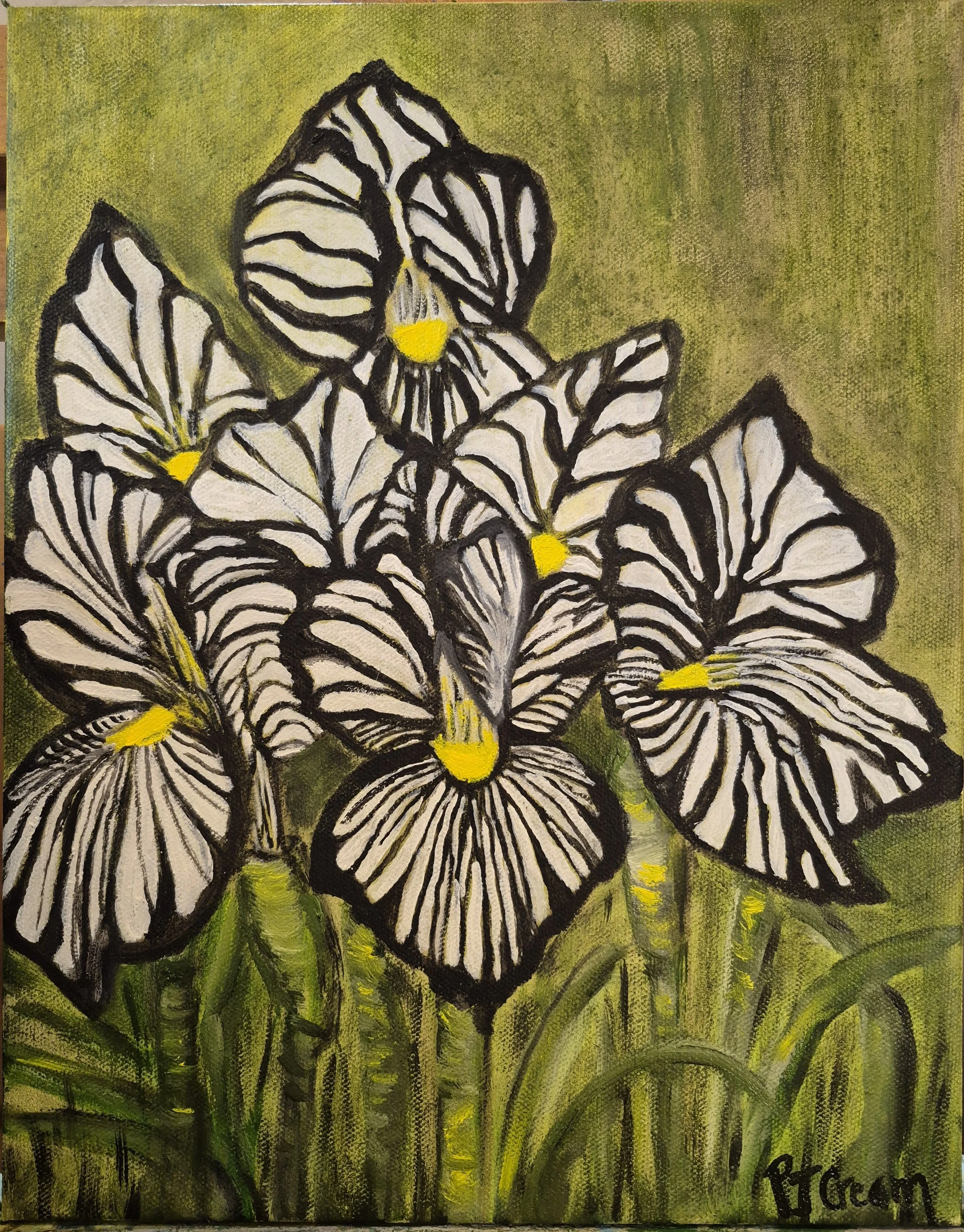 Zebras are Gathering by Patricia Cream