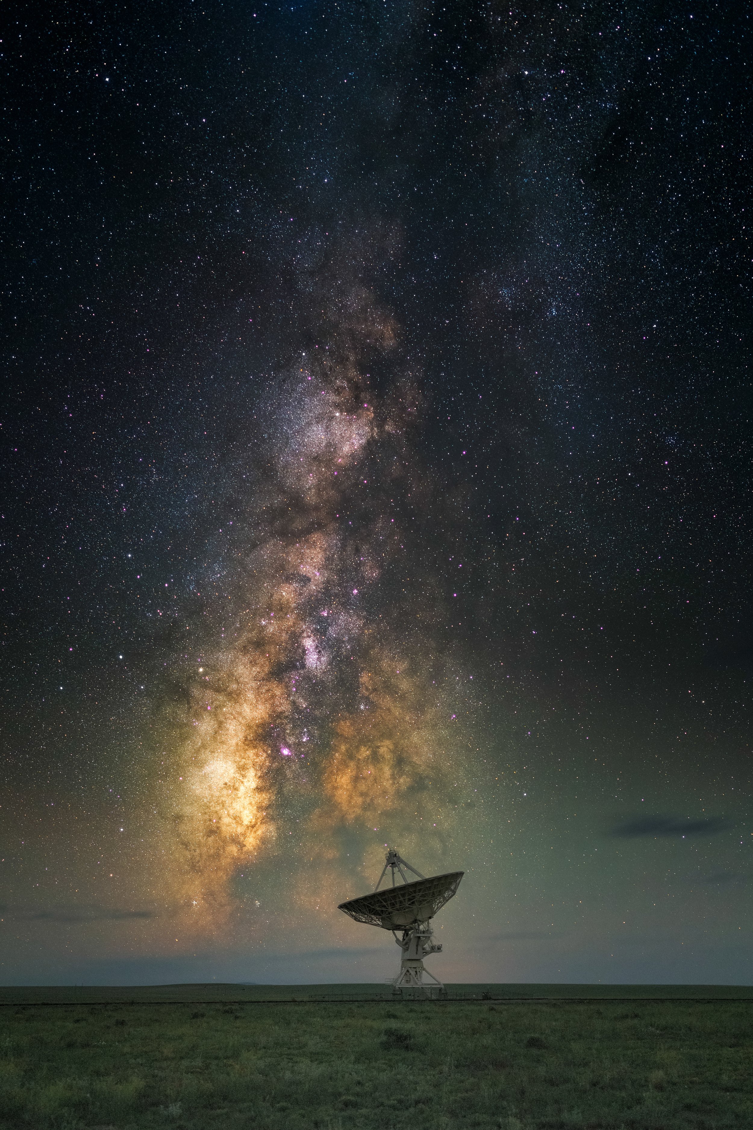"Searching..." by Abuko Estrada