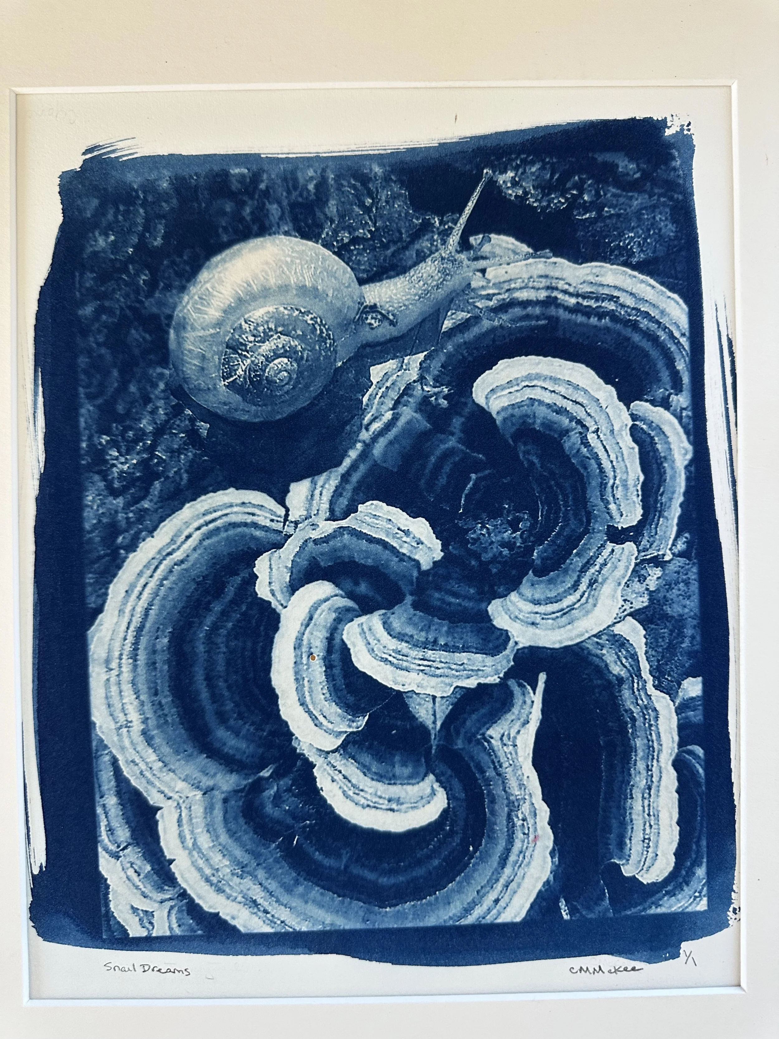 Snail Dreams by Colleen McKee