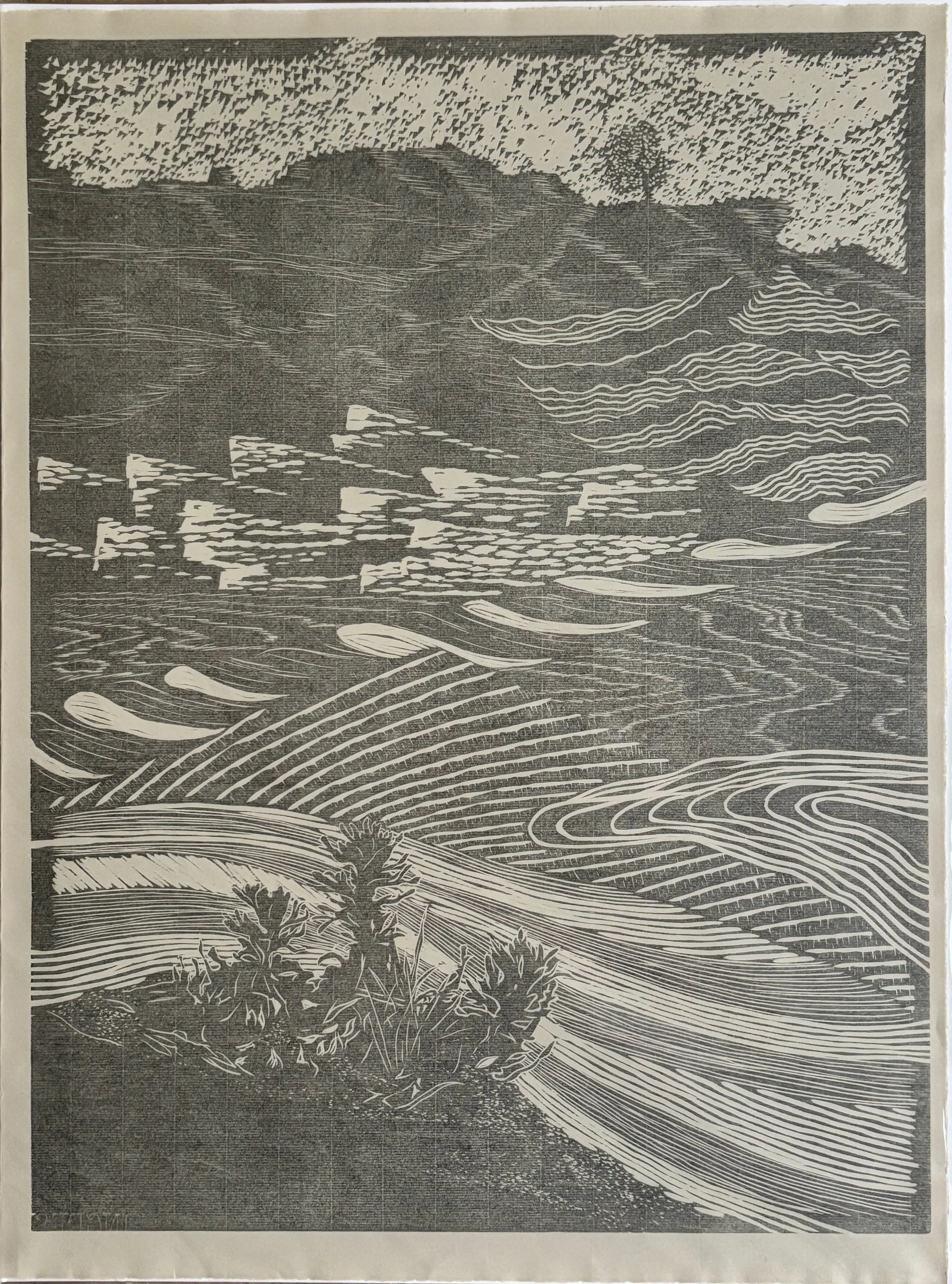 Aug's Paintbrush by Richard Barnes