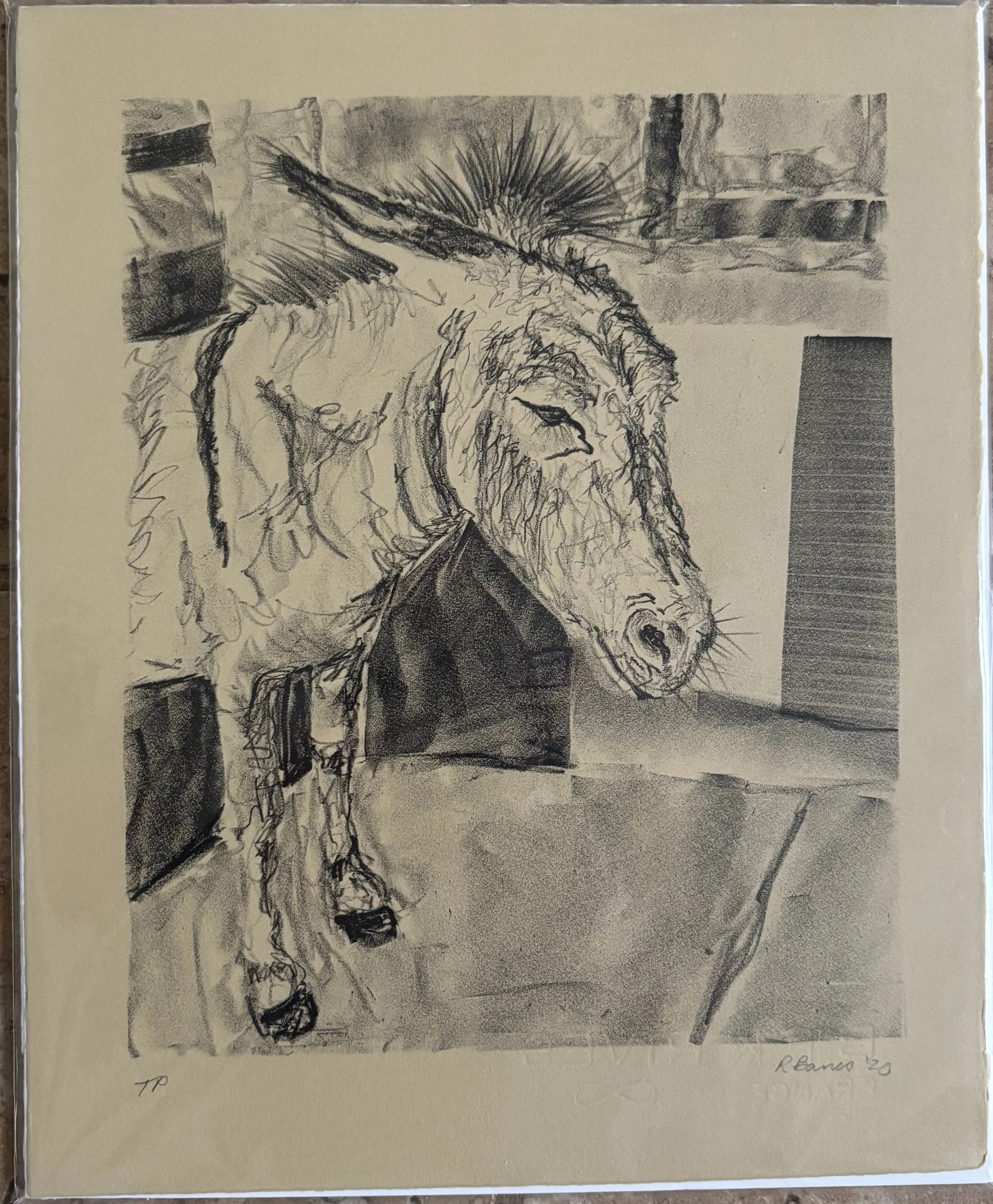 Elmer by Richard Barnes