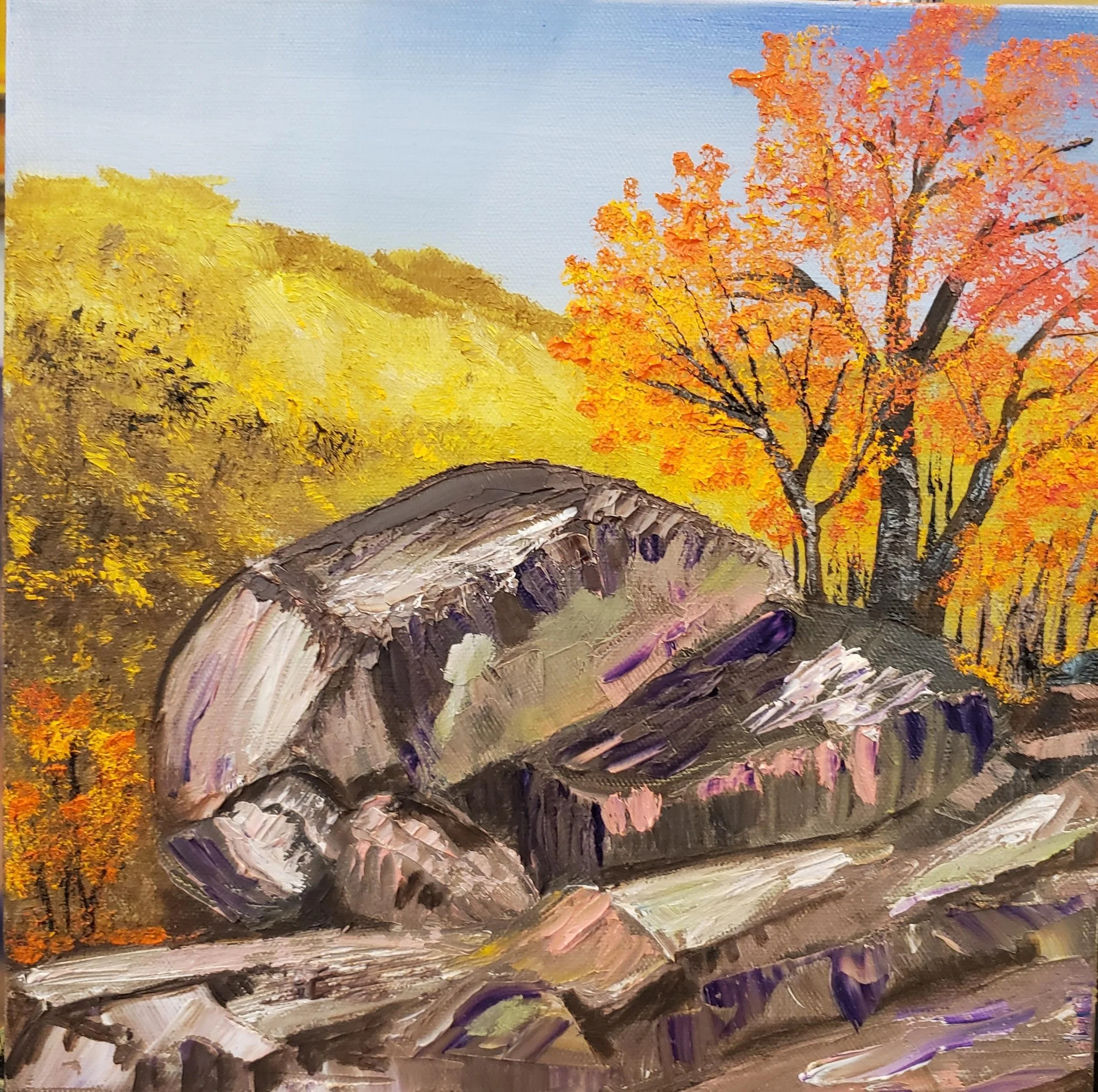 Fall Rock Climbing by Patricia Cream