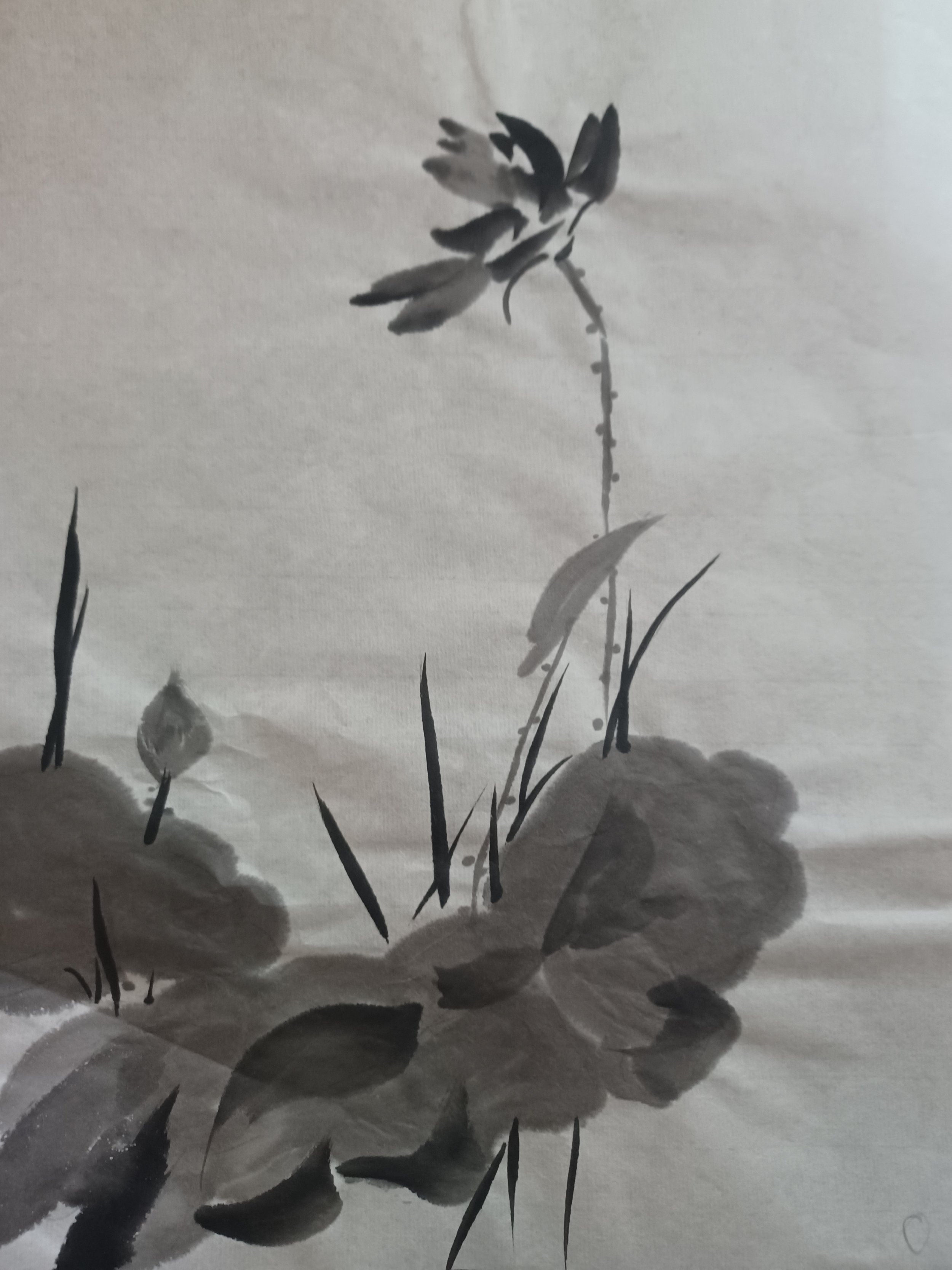 Lotus by Liz Davenport