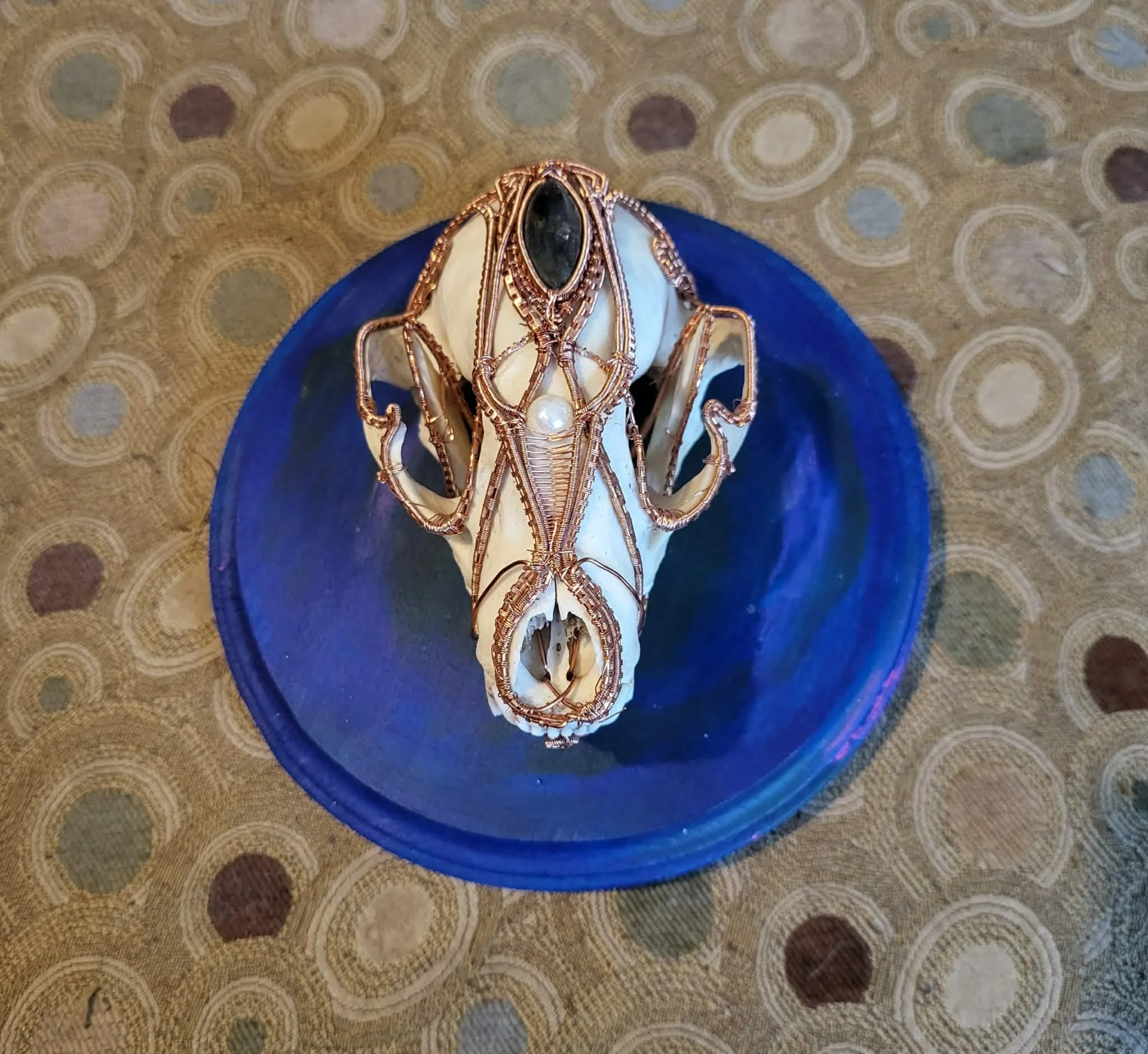 Racoon skull w labradorite by Steve