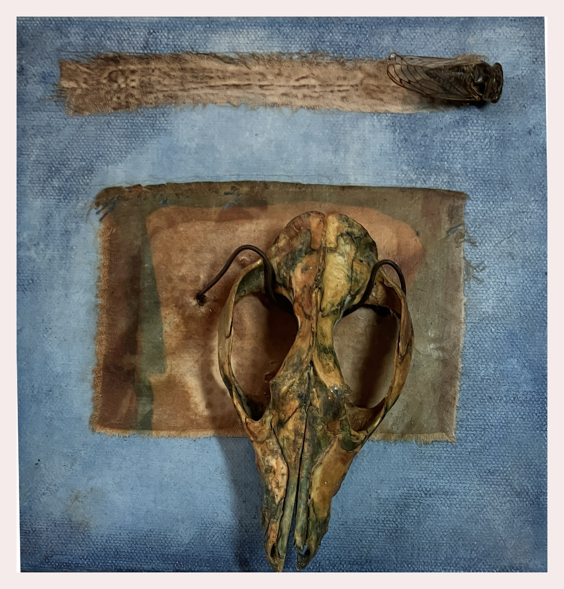 Death Comes For the Archbishop by Rebecca Levine Quigley