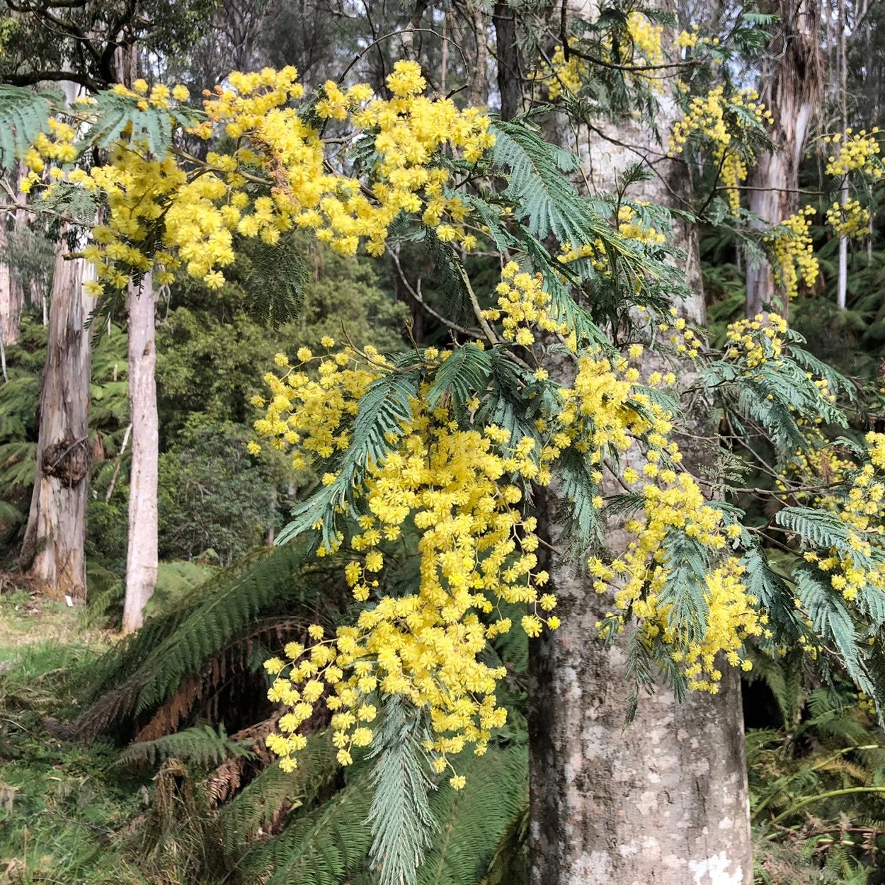 INSTA - CROPPING15.jpg