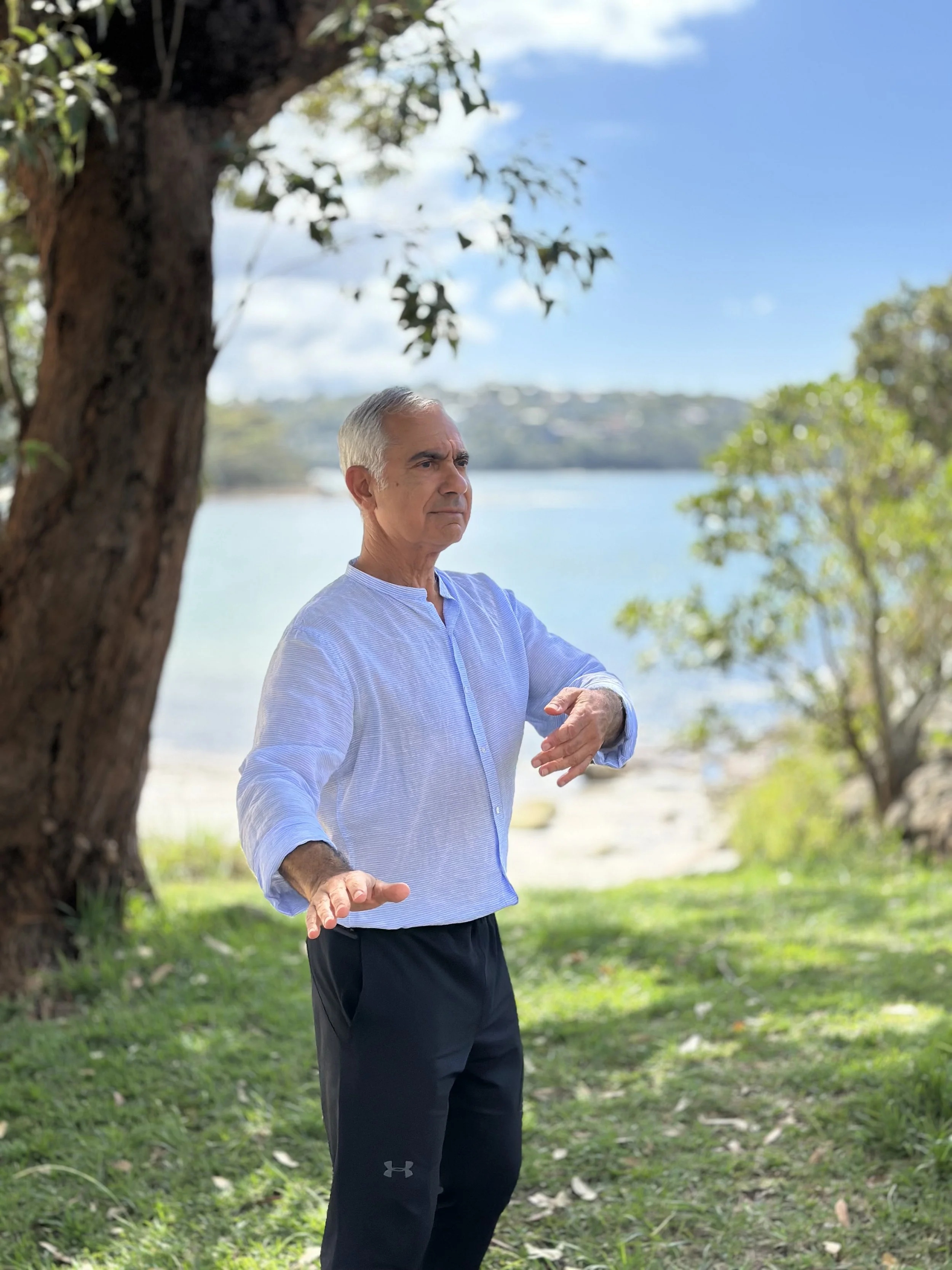 Tai Chi - A Winter 9 Week Term