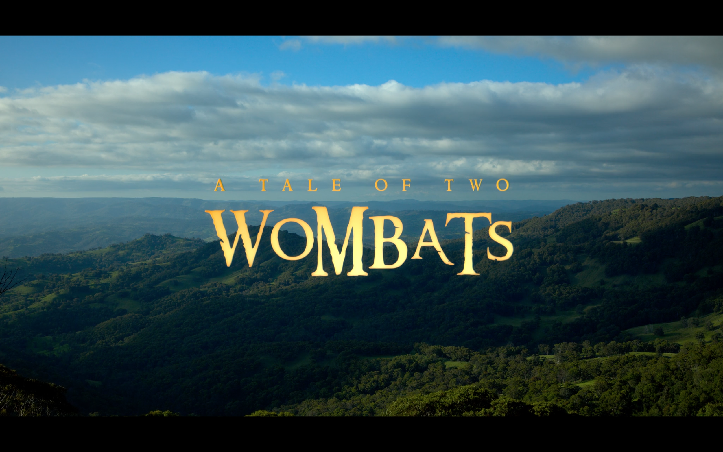 A Tale of Two Wombats