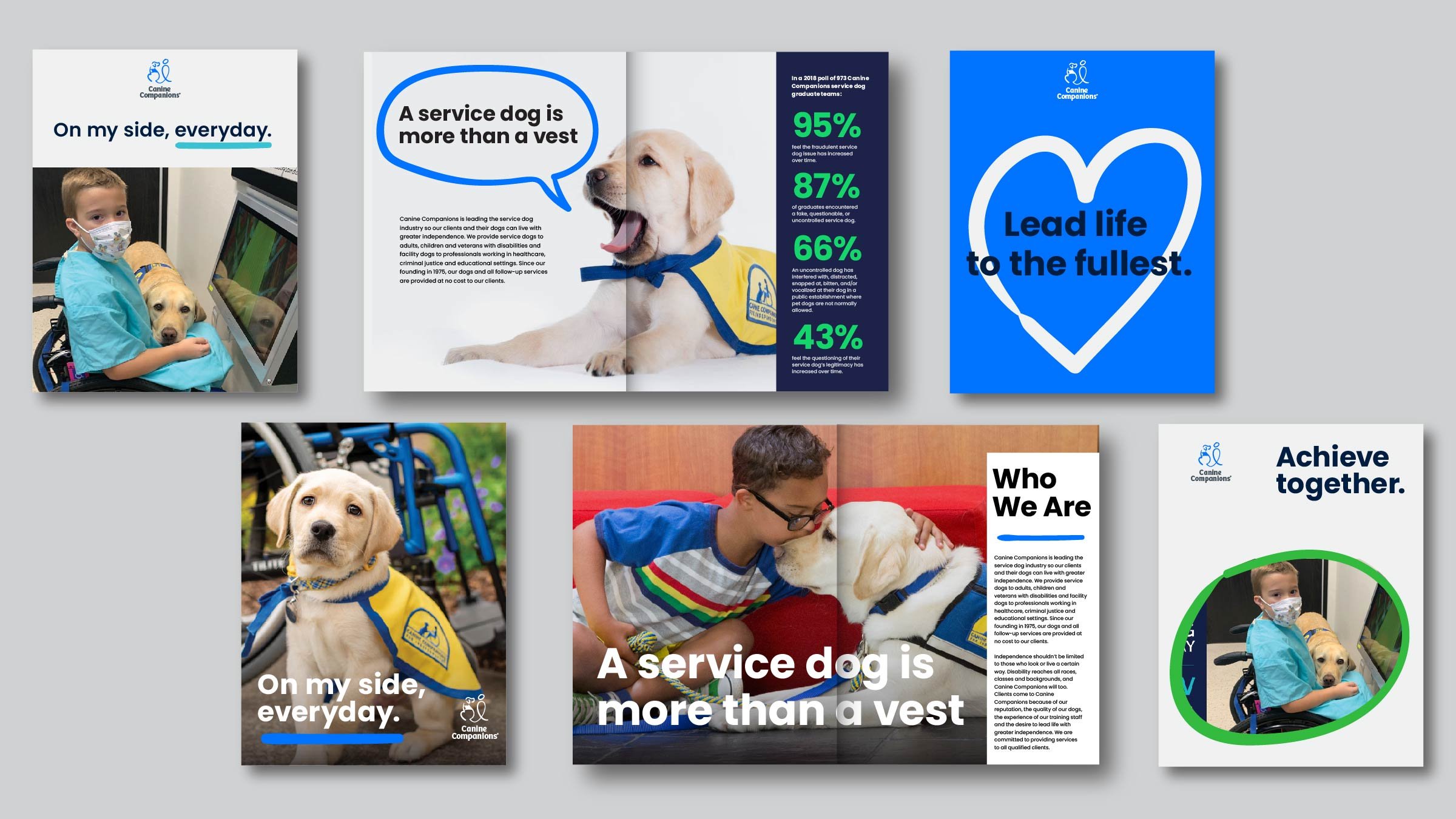 Canine-work-04.jpg