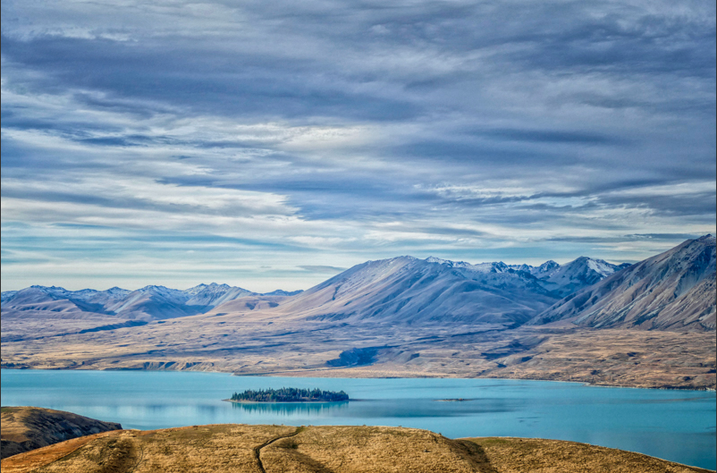 Motuariki Island – Carolyn Collins.png