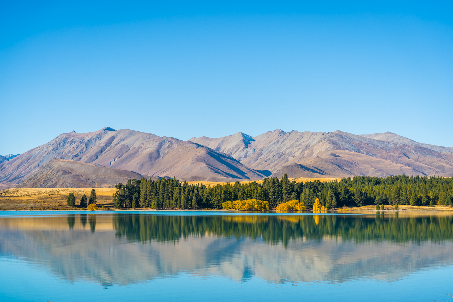 lake-tekapo-autumn-web-2.png