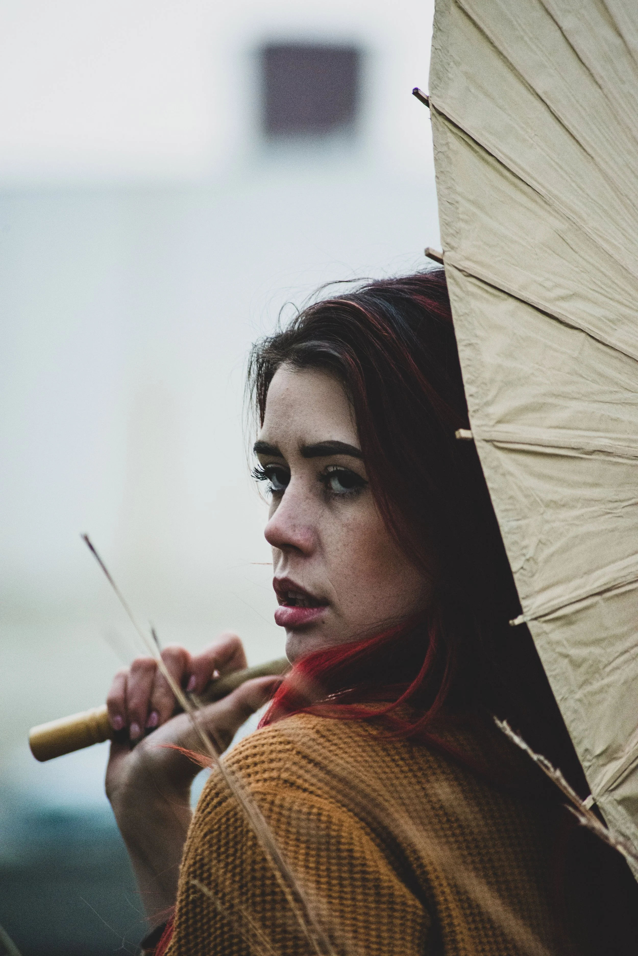 Fall-2019-112 copy.jpg