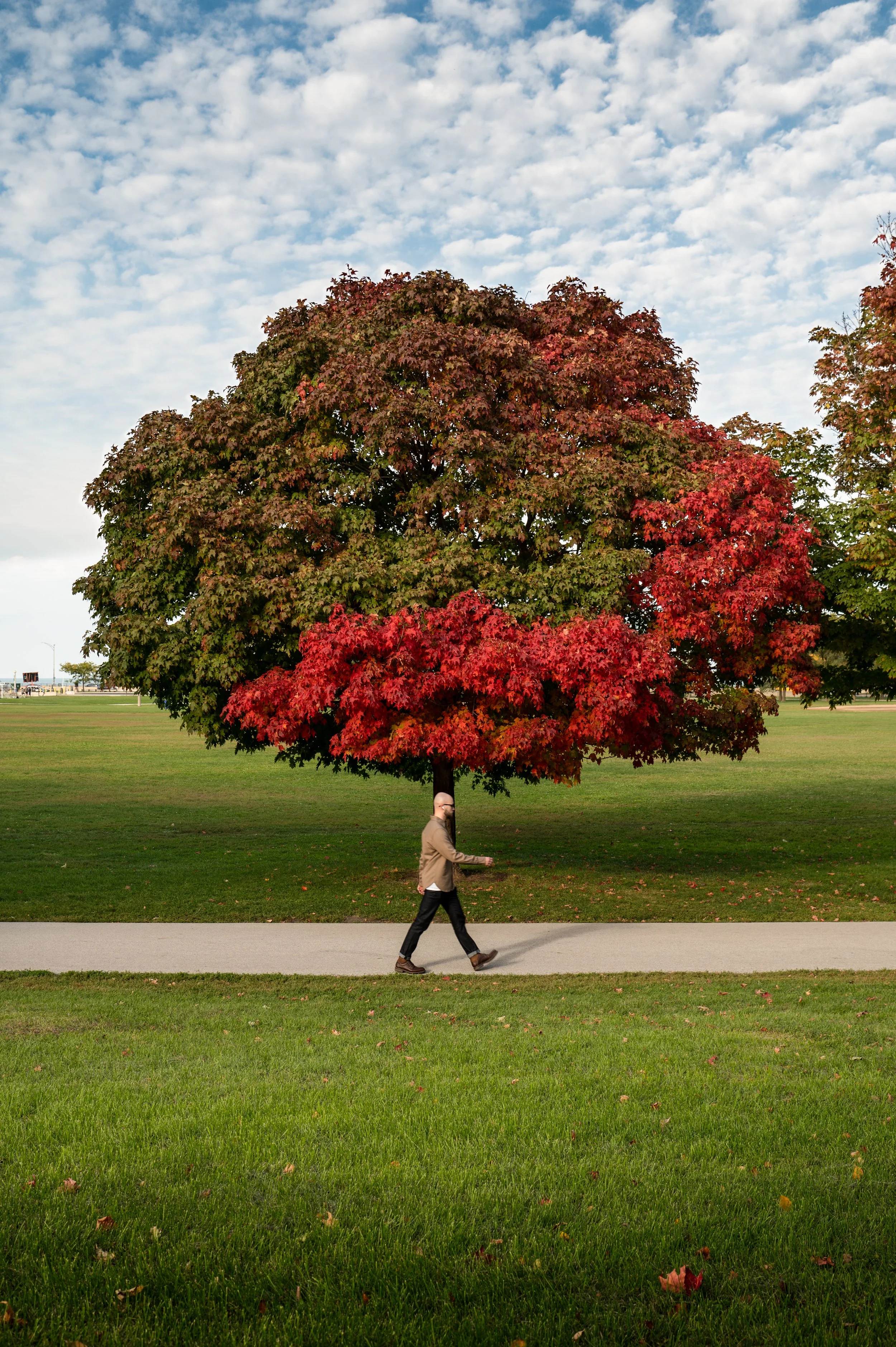 Autumn Walk, Lincoln Park