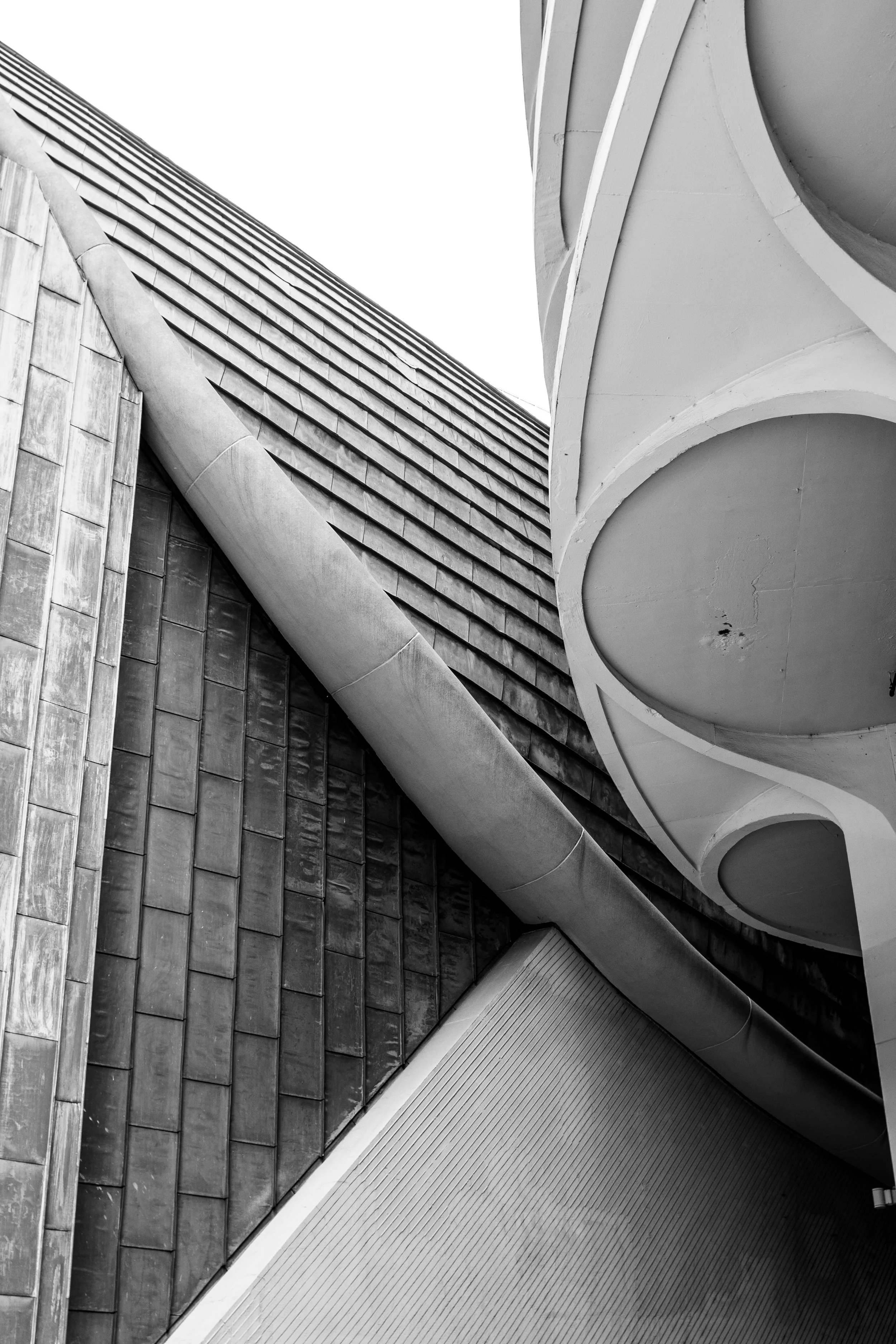 Spring-2024-0076 (1 of 1).jpg