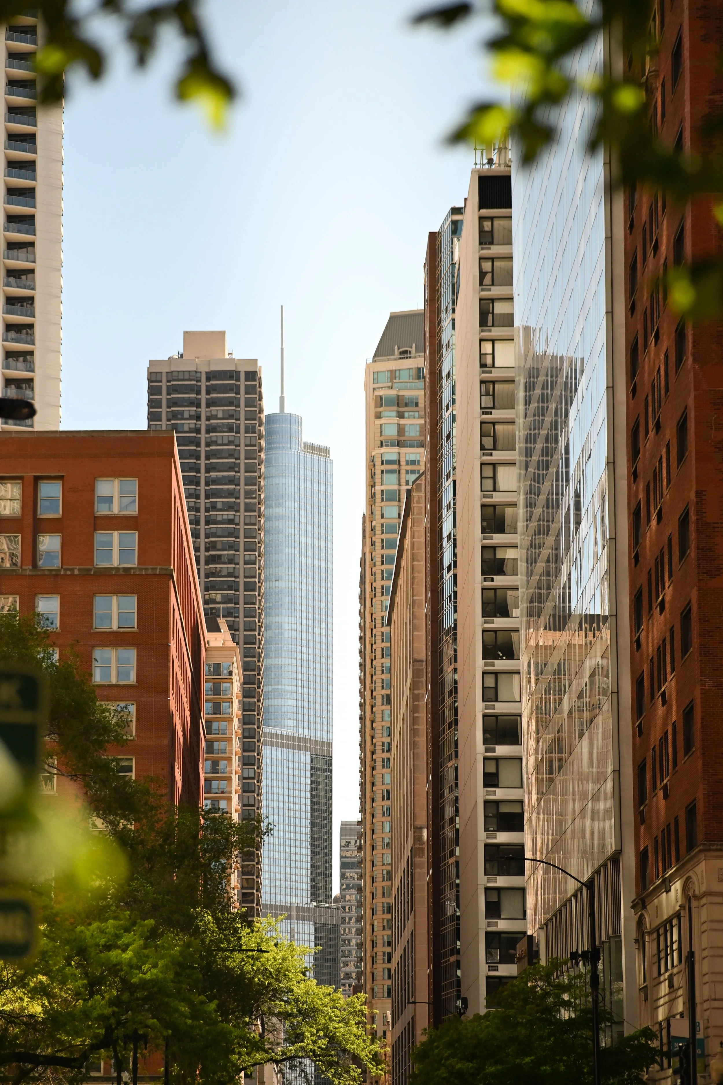 City & Canopy