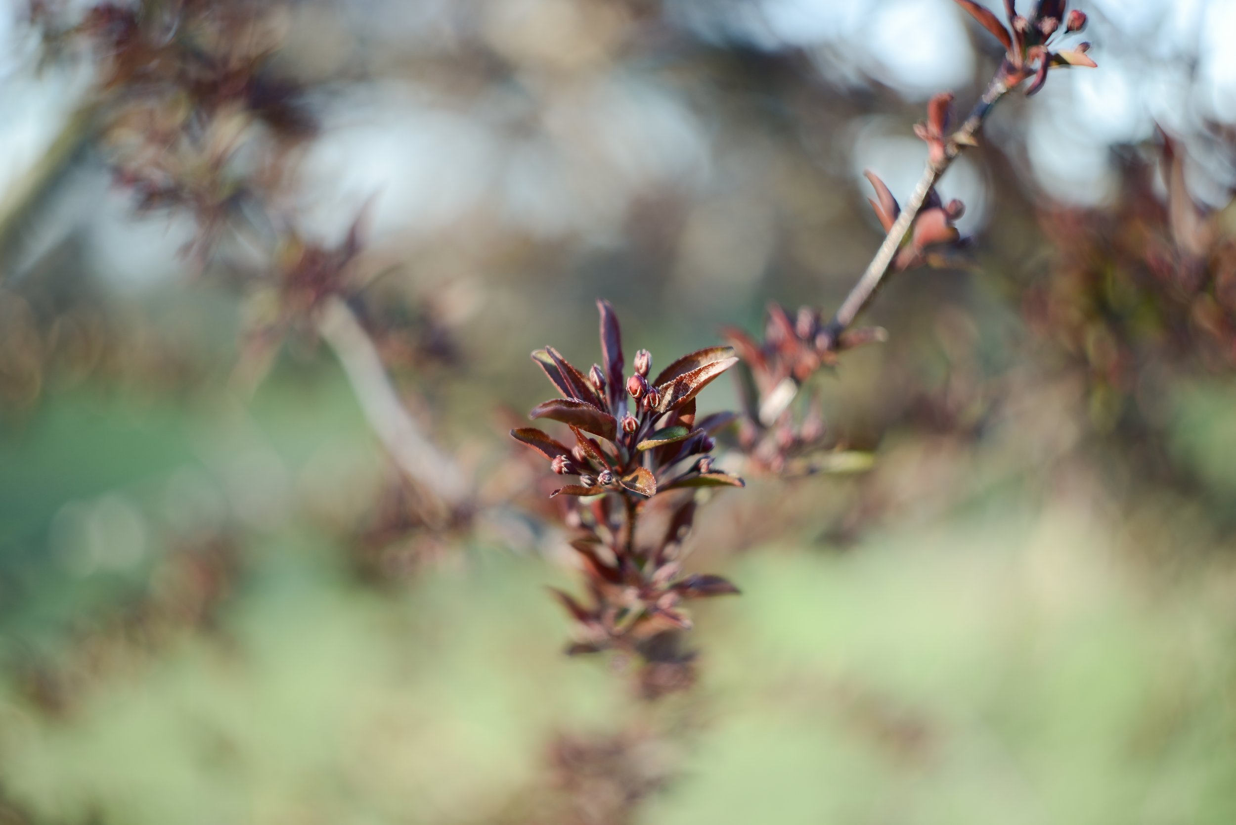 Spring-2024-0134.jpg