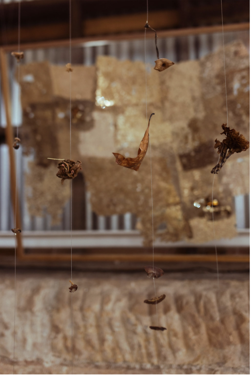 Screenshot 2026-02-09 at 1.26.59 pm.png