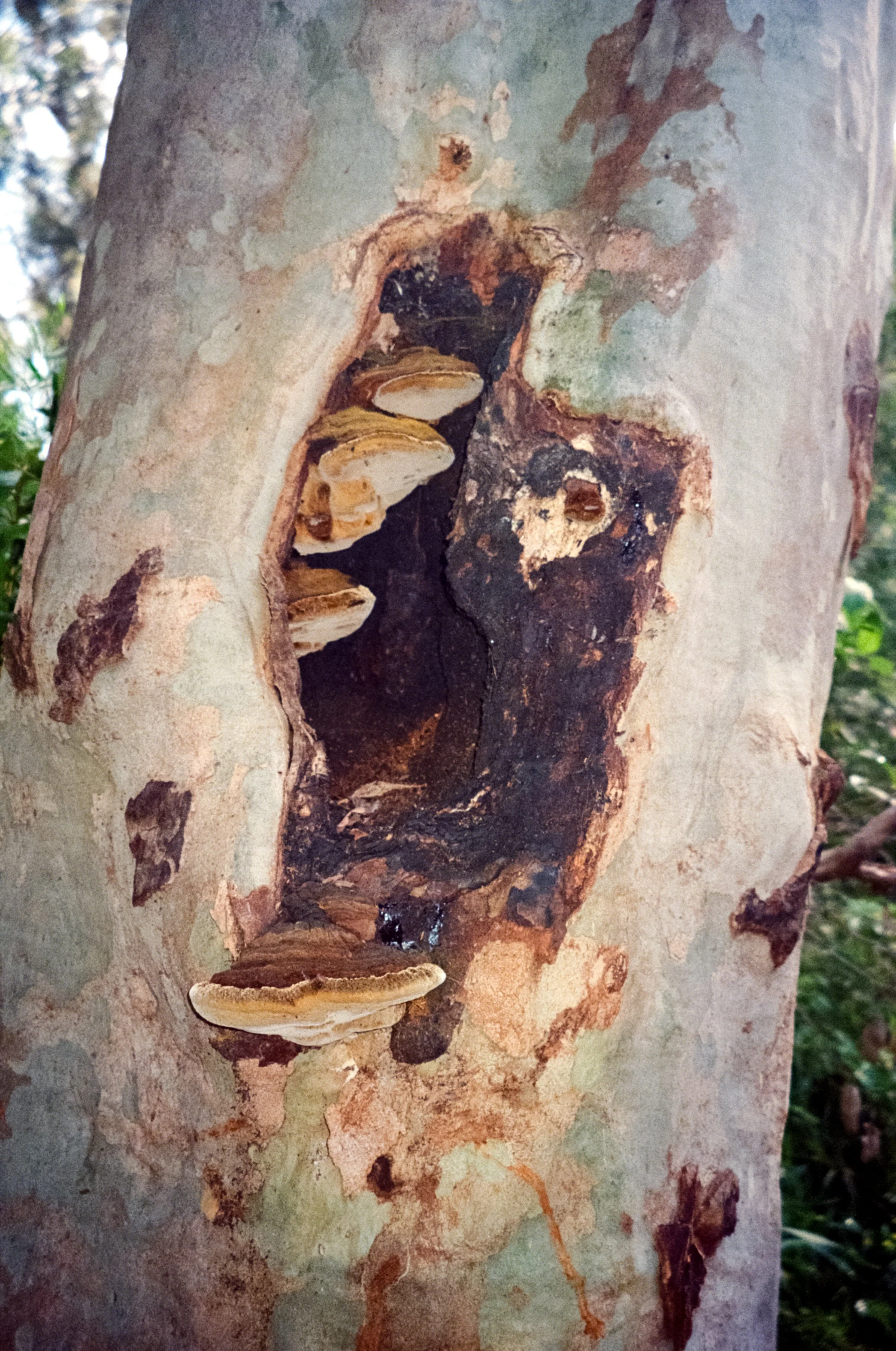 000074570018_18 copy.jpg