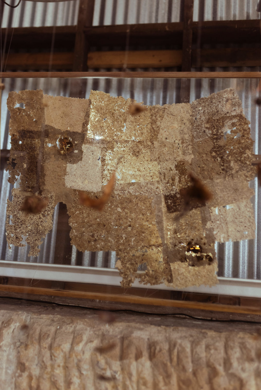 Screenshot 2026-02-09 at 1.27.11 pm.png