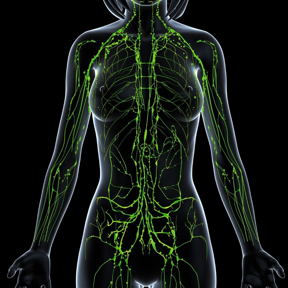 Assisted Lymphatic Therapy — Elemental Balance