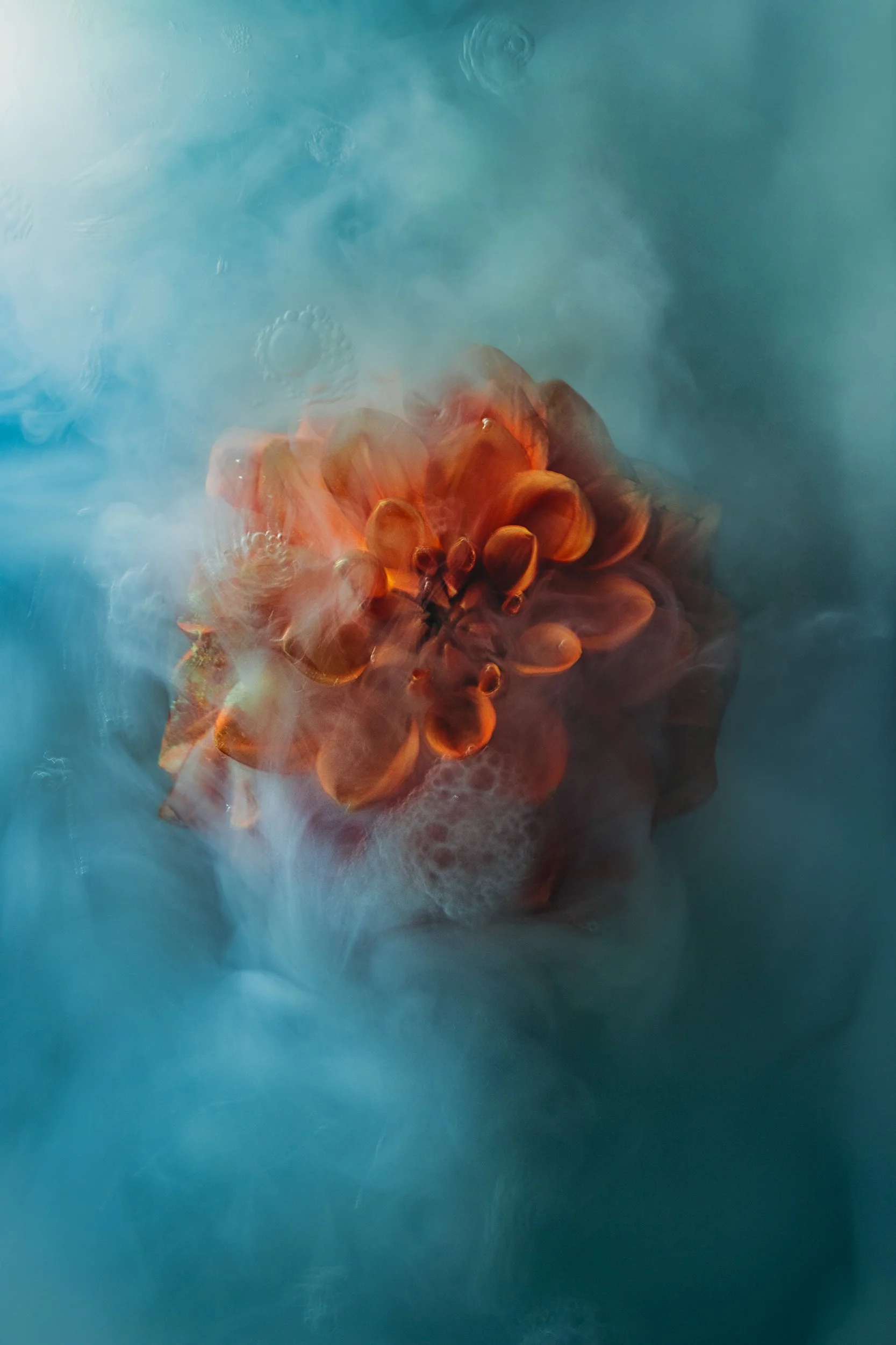 Ray_Lisa_Emergence_framed_archival_pigment_print_on_cotton_rag_paper_938x638mm_2026.jpg
