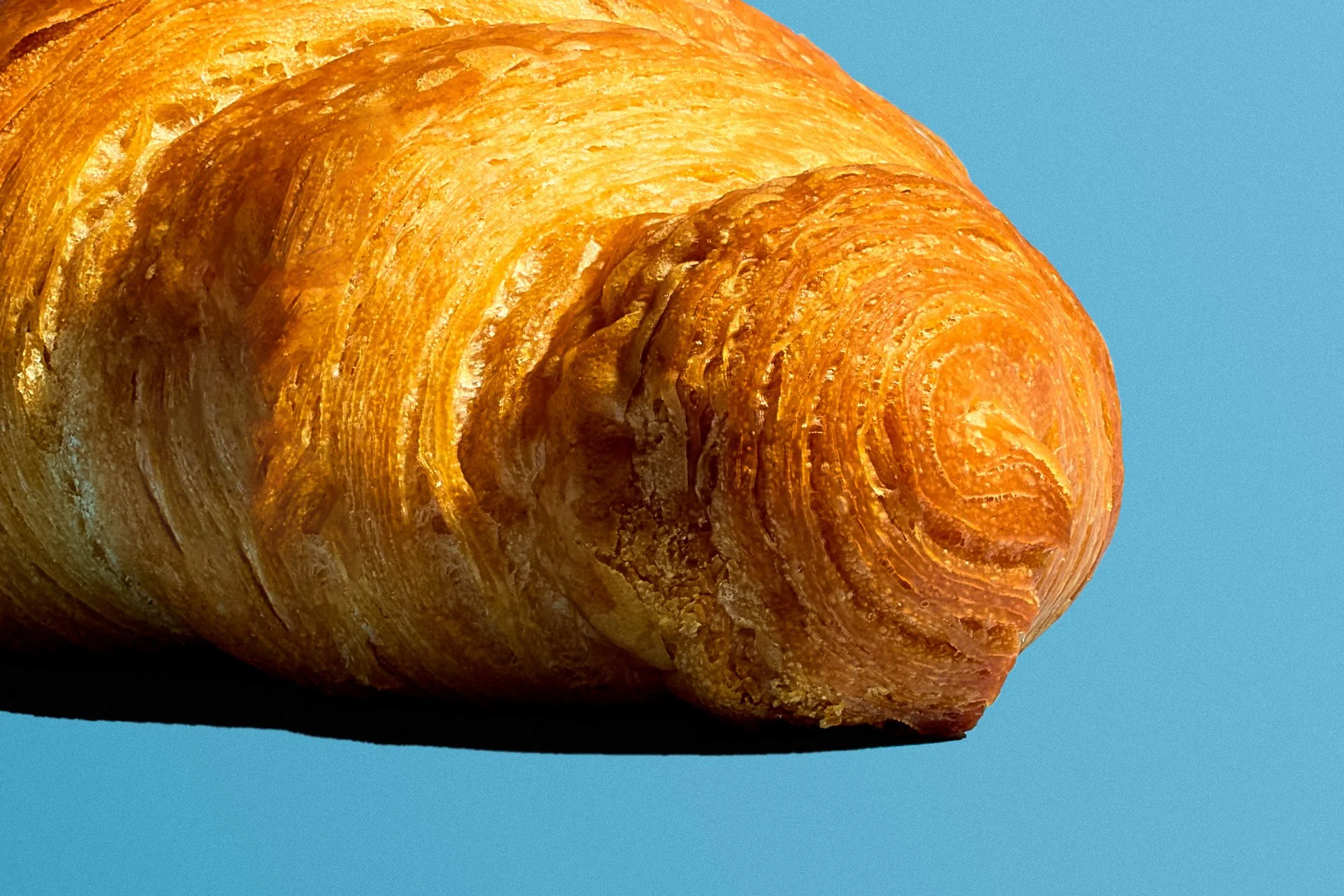 Coissant-Macro.jpg