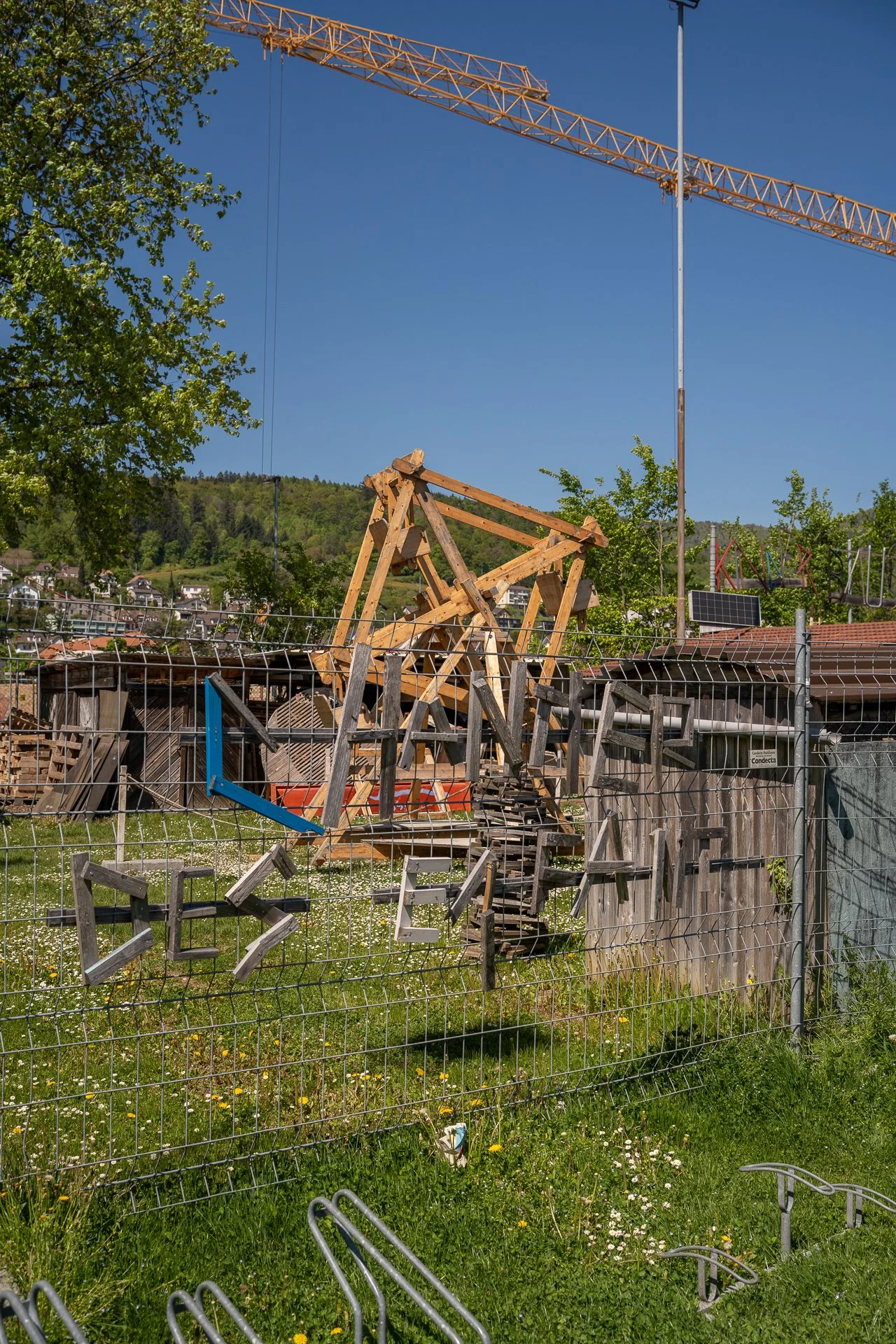 DSC04536.jpg