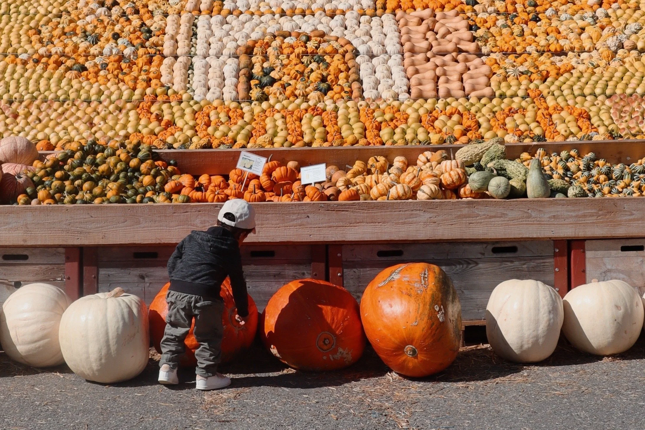Die schönsten Herbstausflüge mit Kindern in der Schweiz
