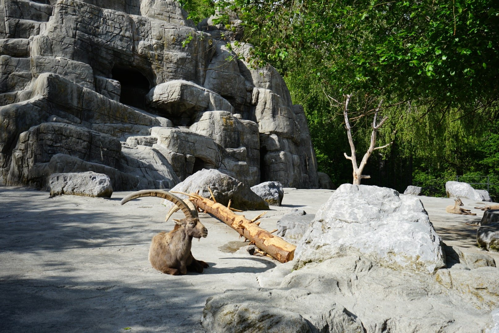 DSC00974-min.JPG
