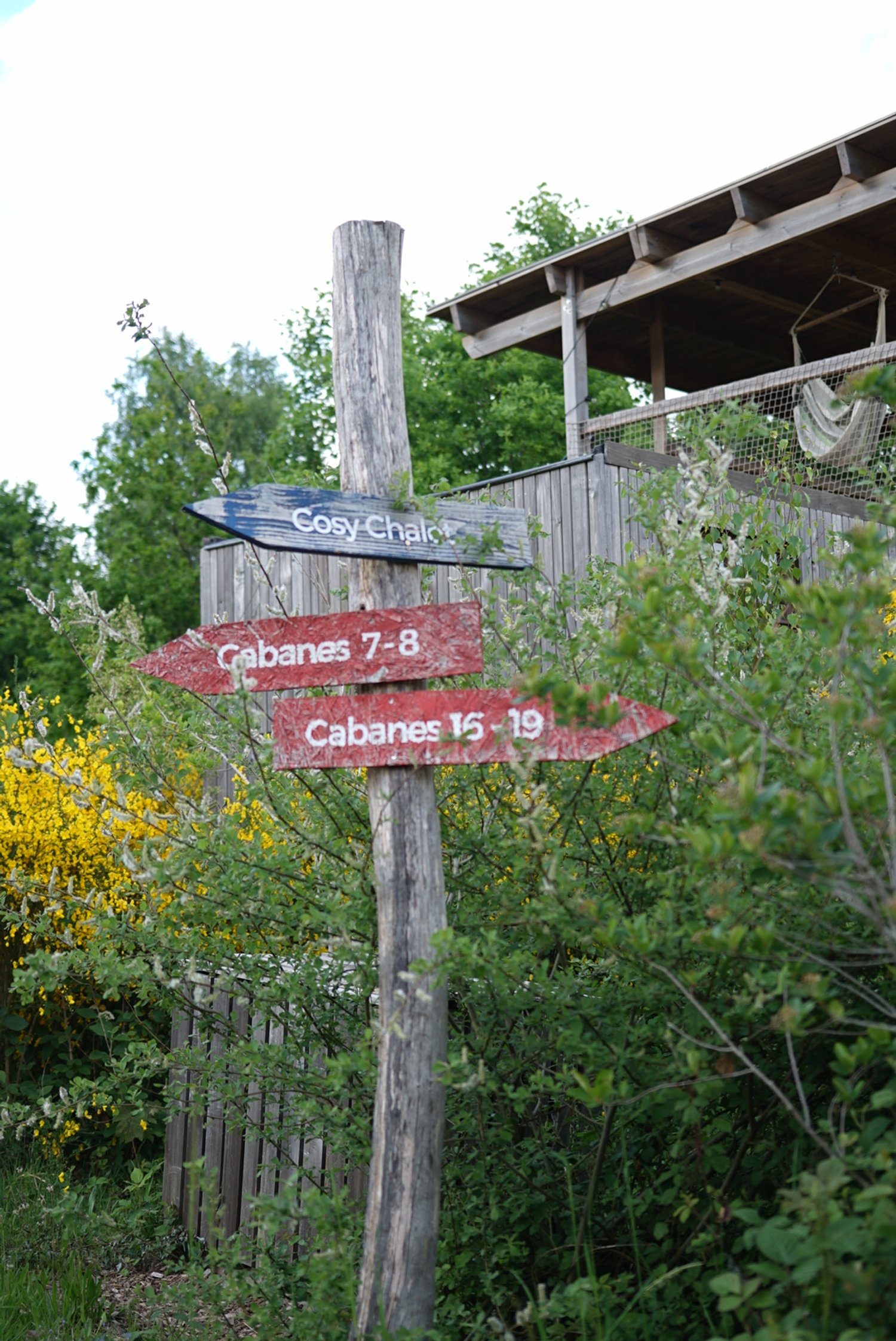 DSC02942.JPG