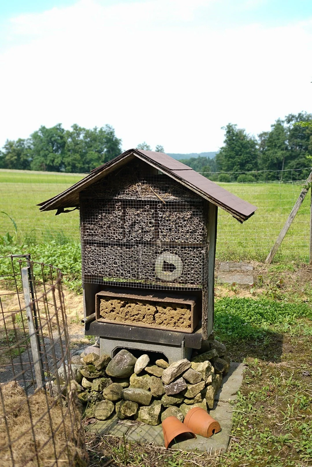 DSC04519 2-min.JPG