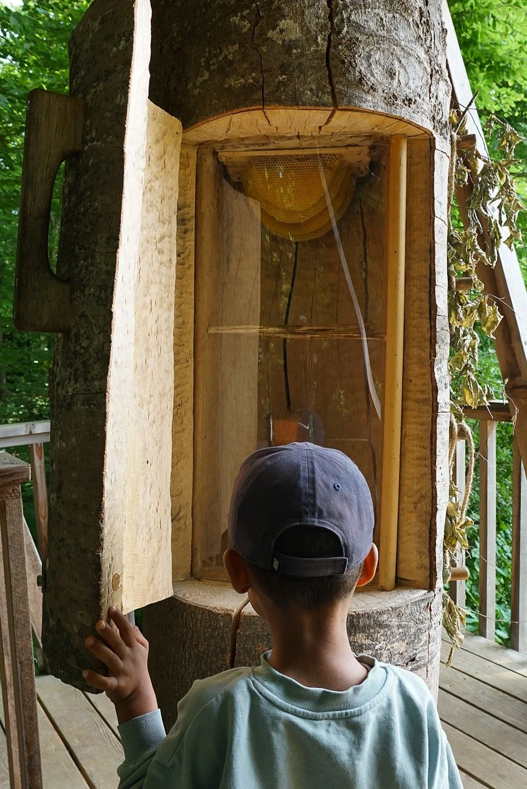 DSC04539 2-min.JPG