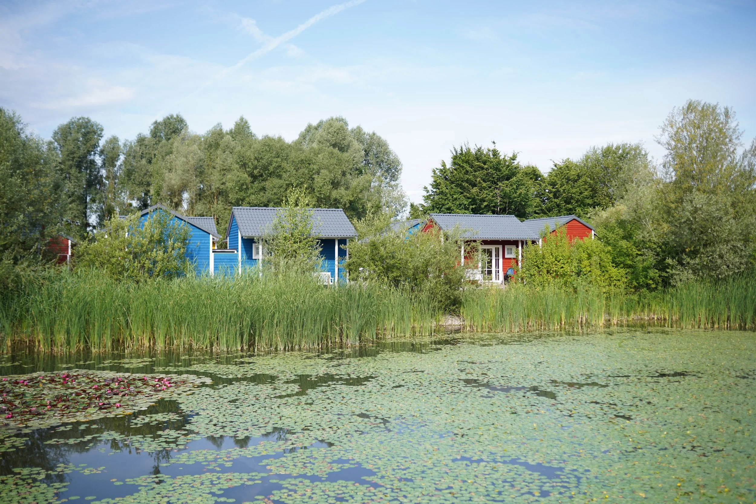 IMG01848.JPG