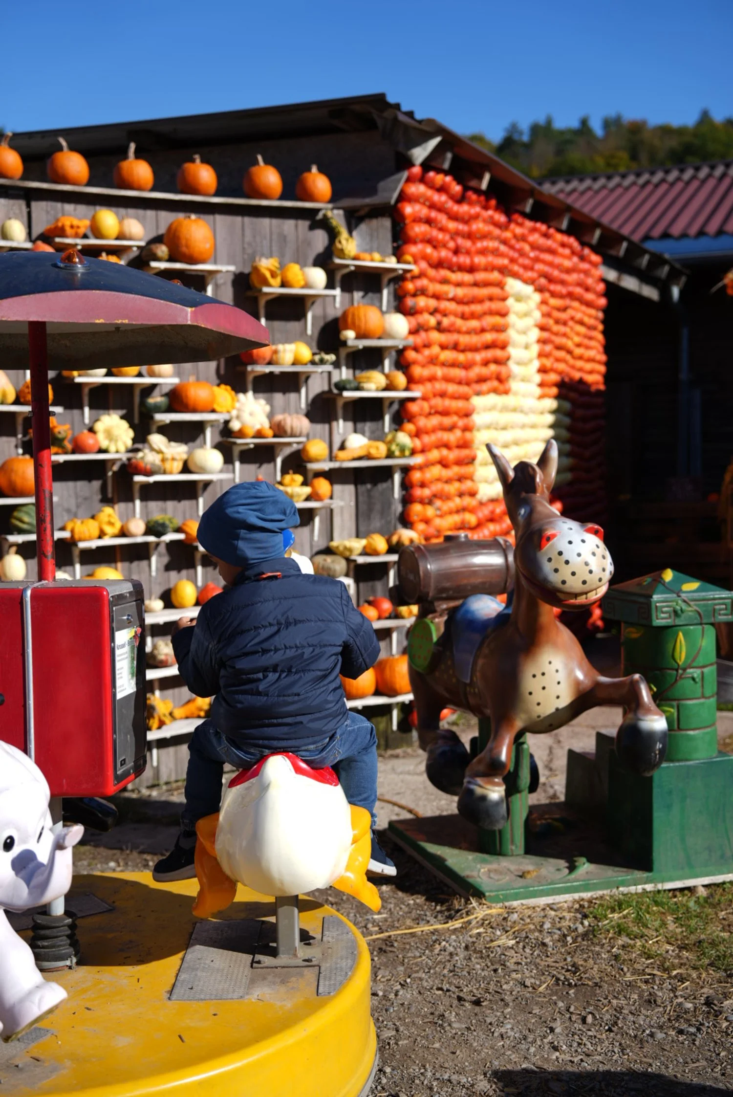 DSC08573 2.JPG