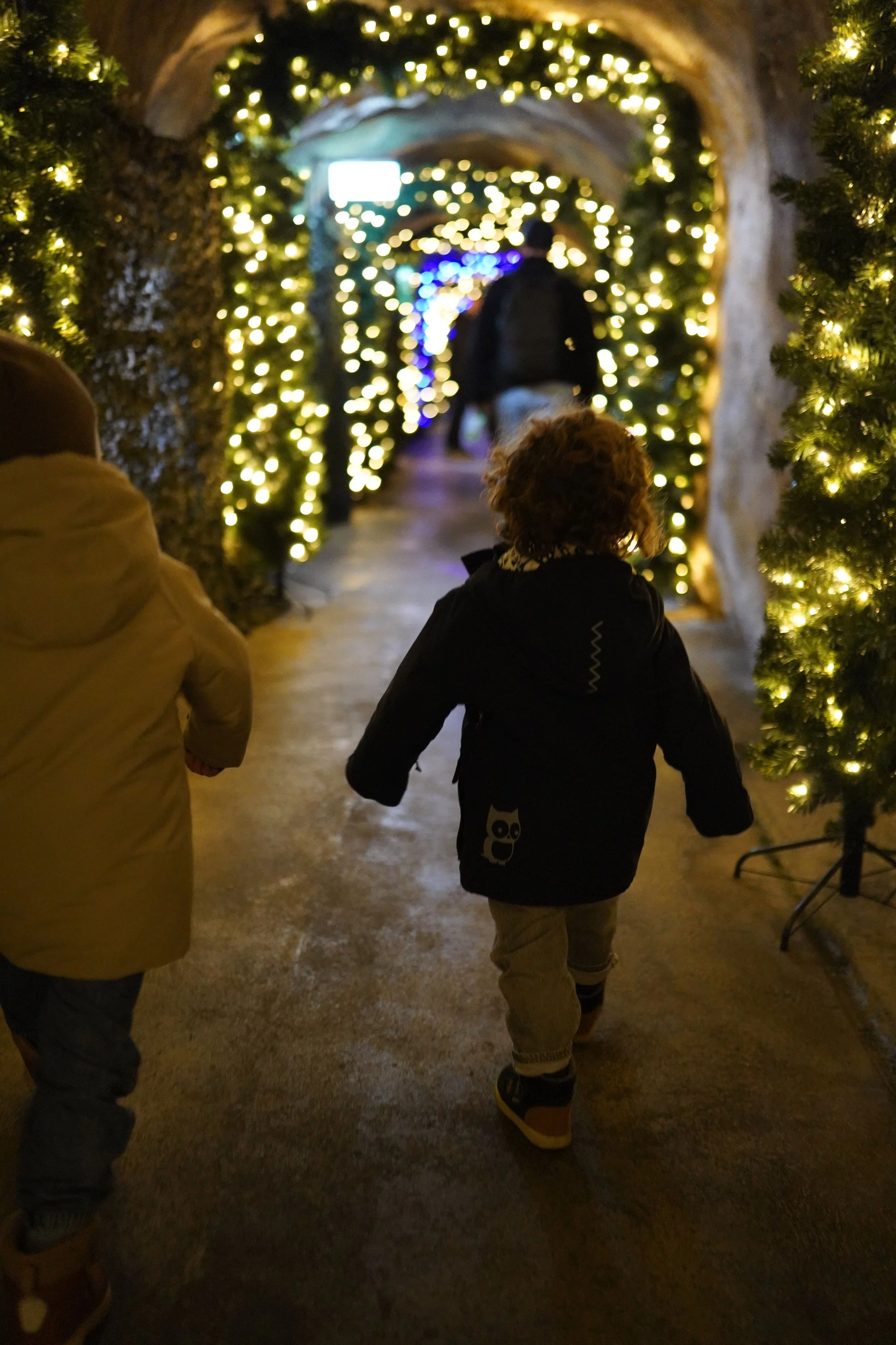 IMG07672-min (1).JPG