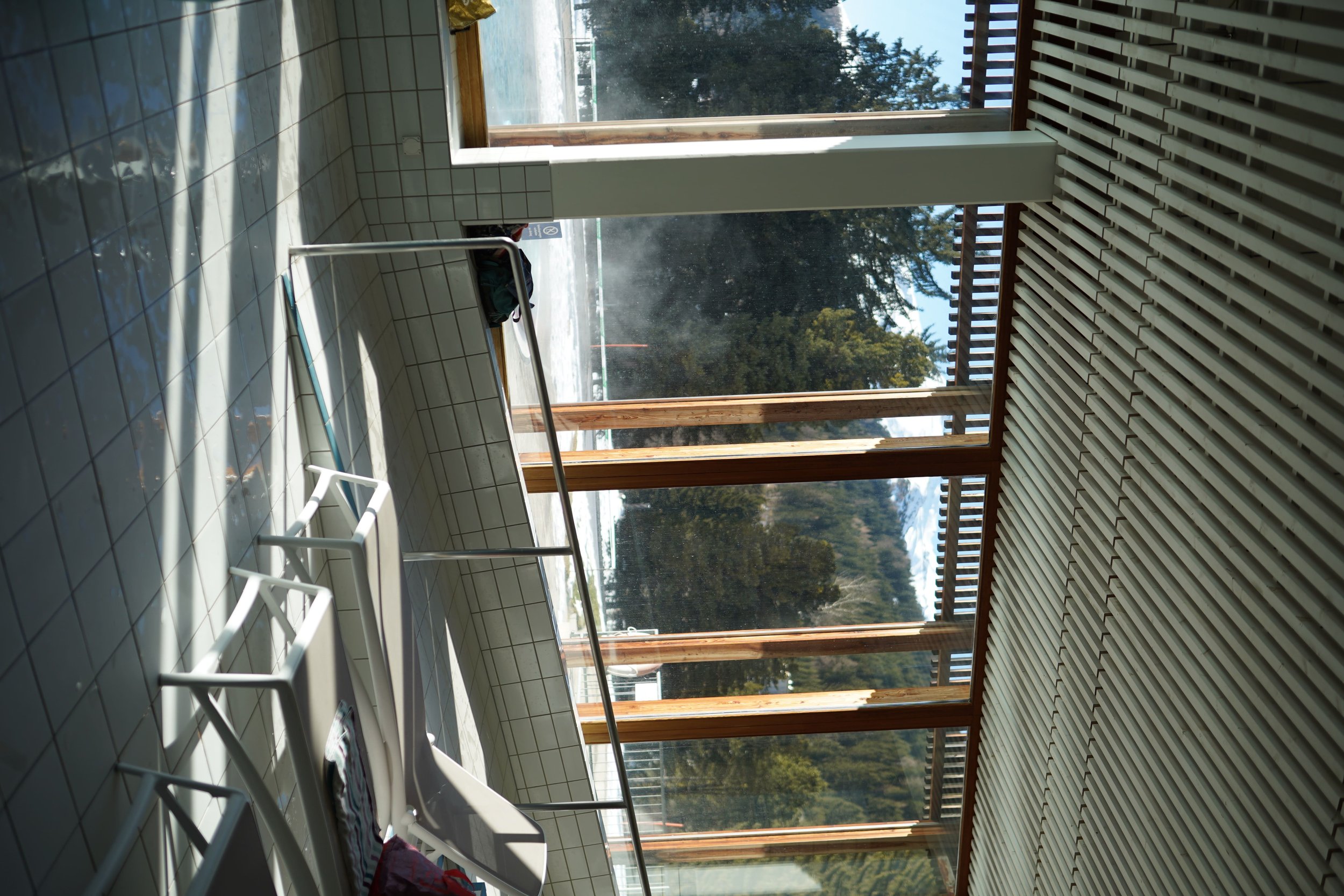 IMG08446.jpg
