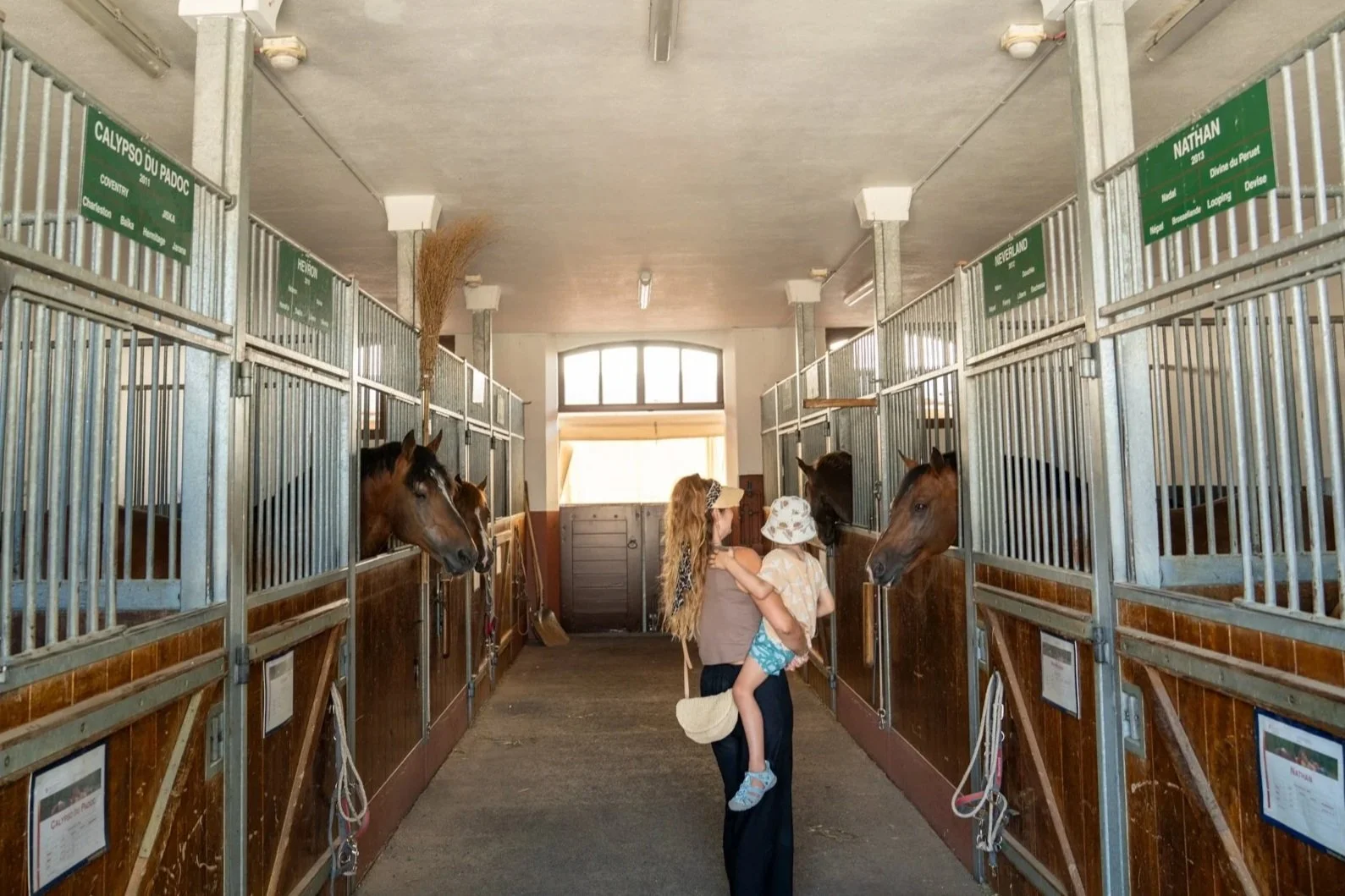 Schweizerisches Nationalgestüt Avenches – ein spannender Ausflug für Pferdefans🐎