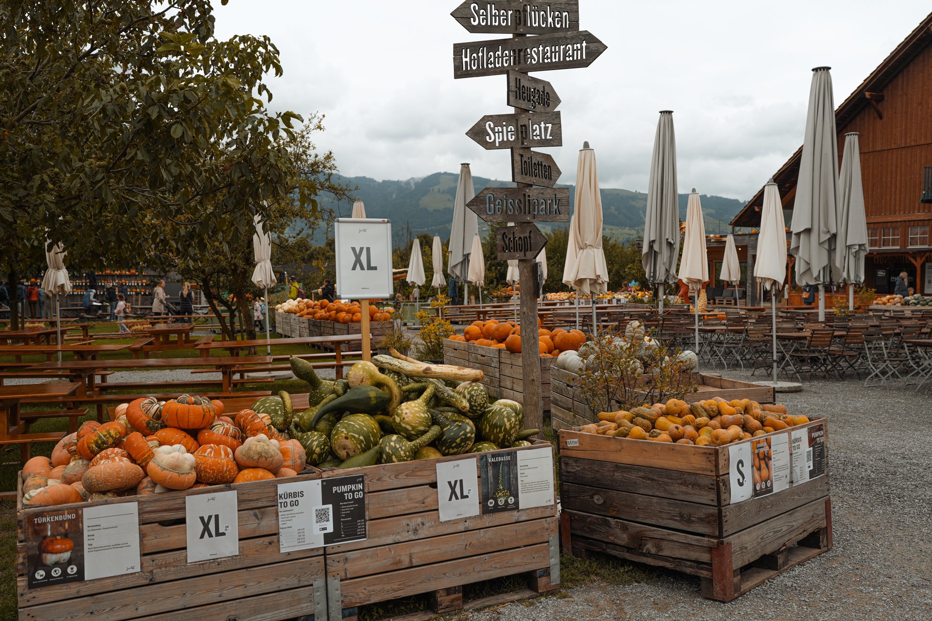 DSC09059.jpg