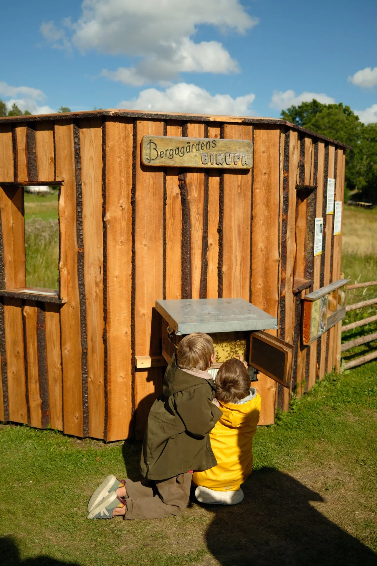 DSCF1331.jpg