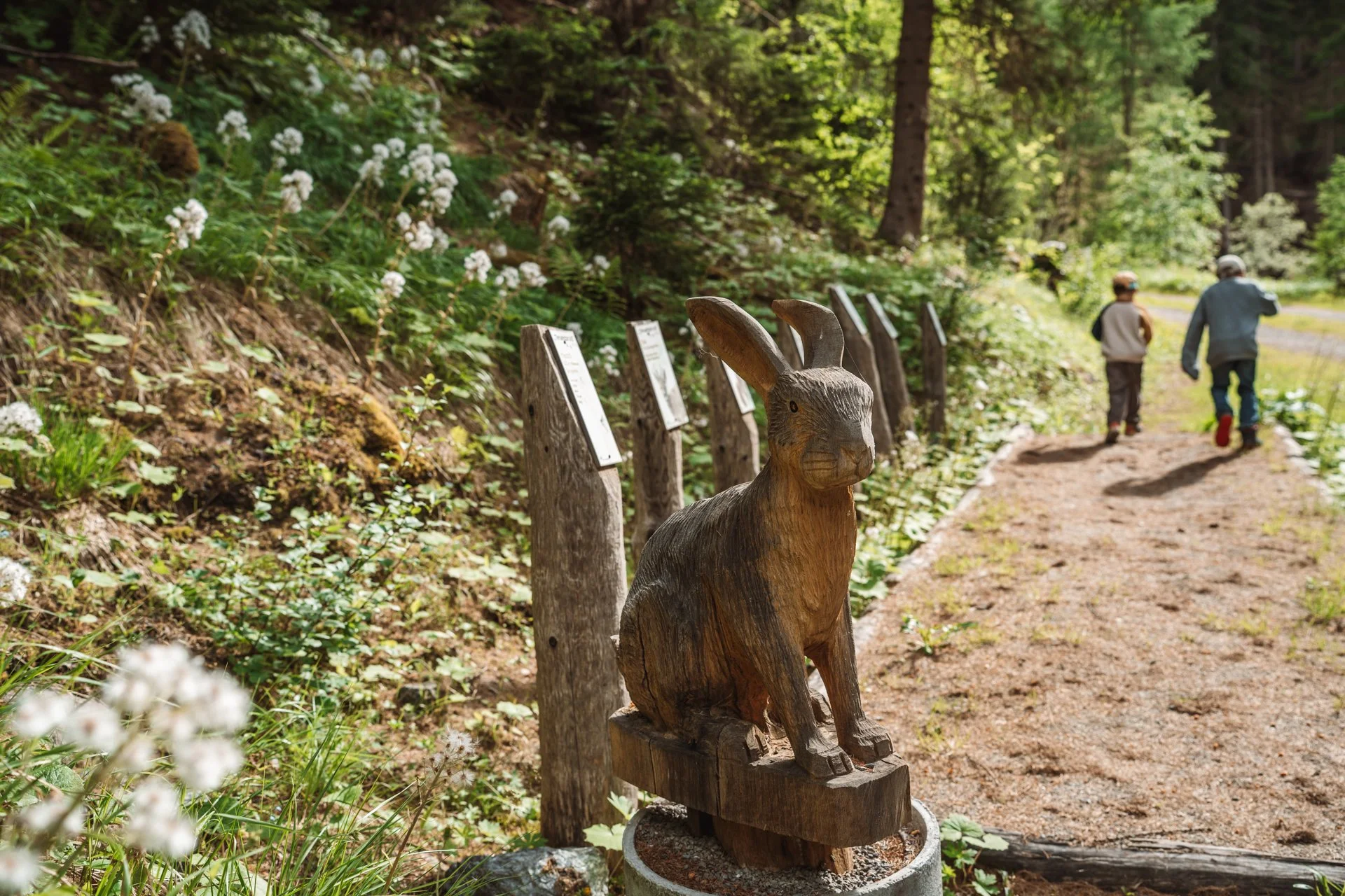 Moosalbi und die Waldtiere: kinderwagentauglicher Themenweg für Familien Wanderung auf der Brandalp bei Unterbäch im Wallis