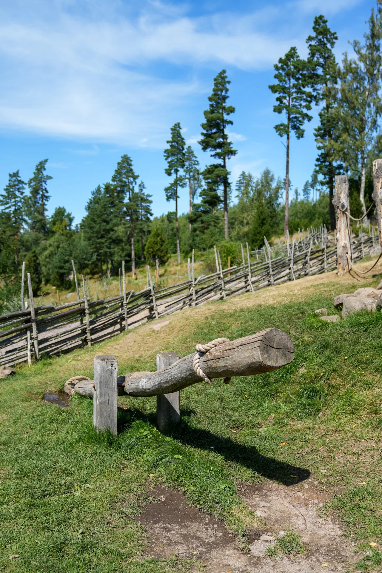 DSC08955.jpg