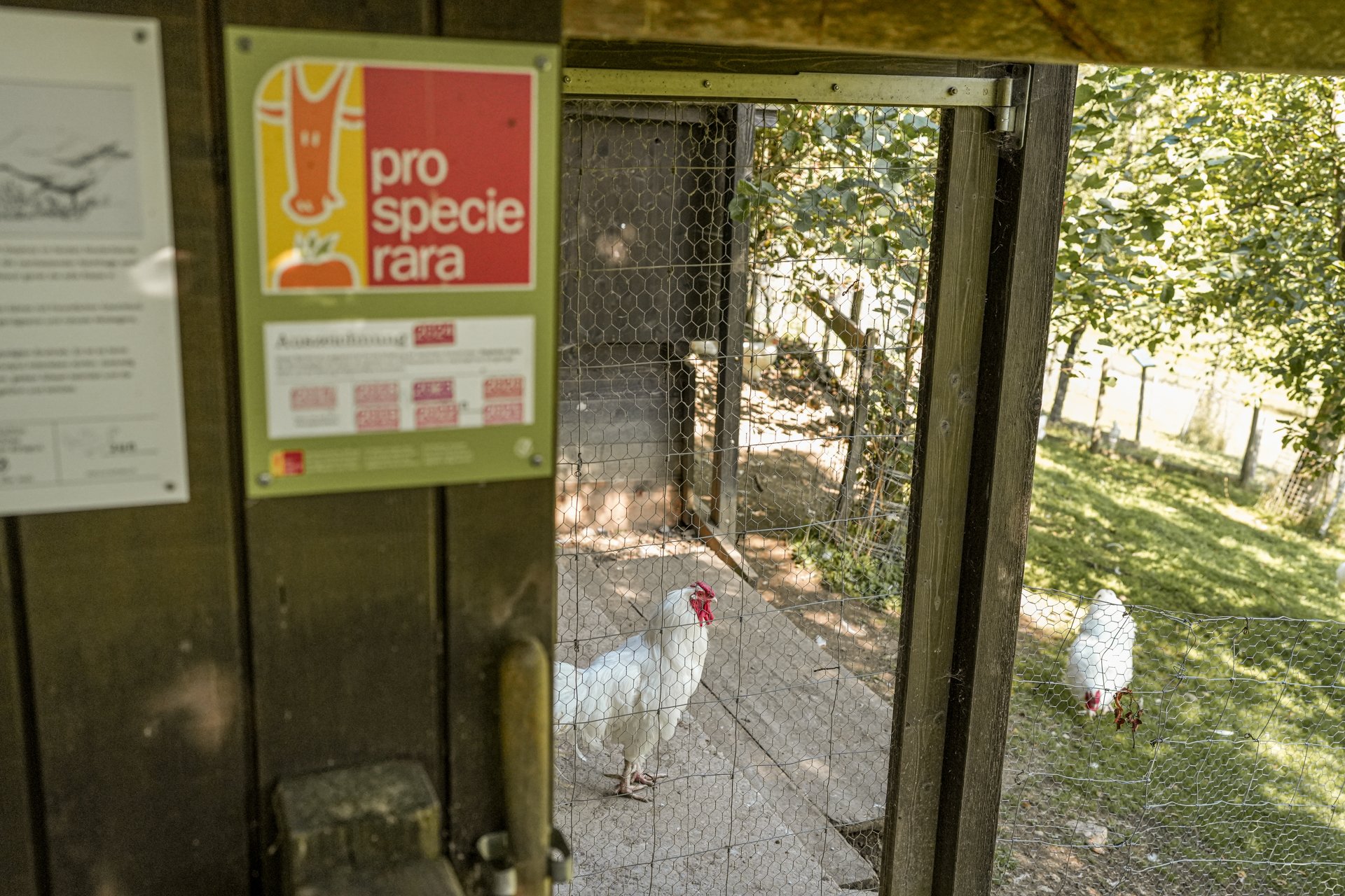 DSC06254-2.jpg
