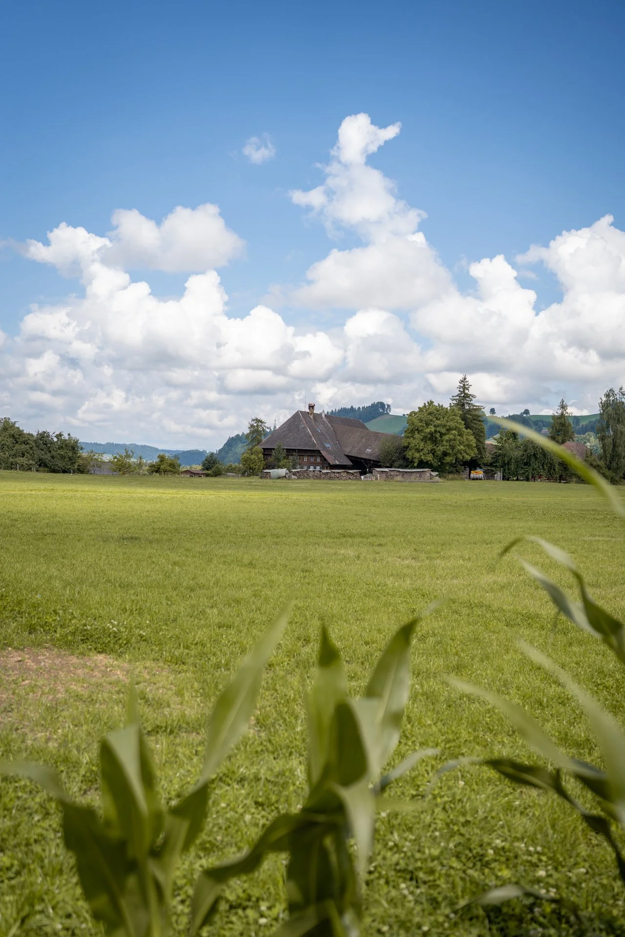 DSC03929_2-10662.jpg
