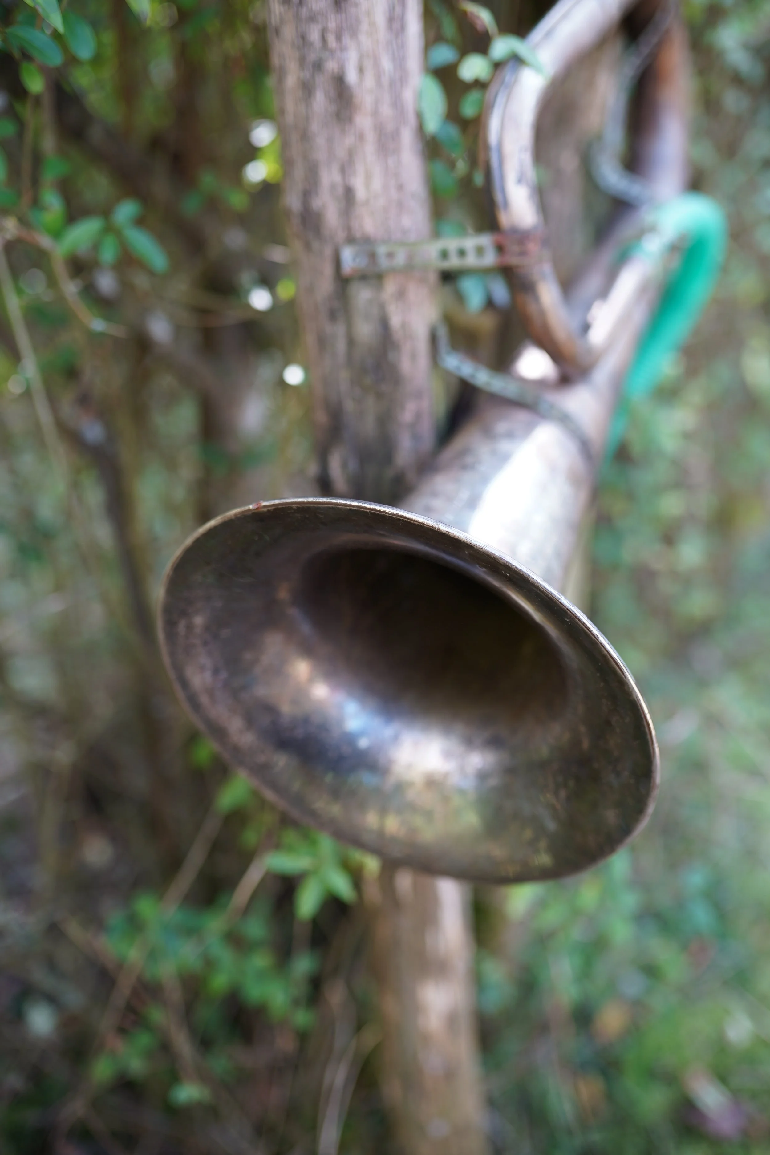 IMG04963.JPG