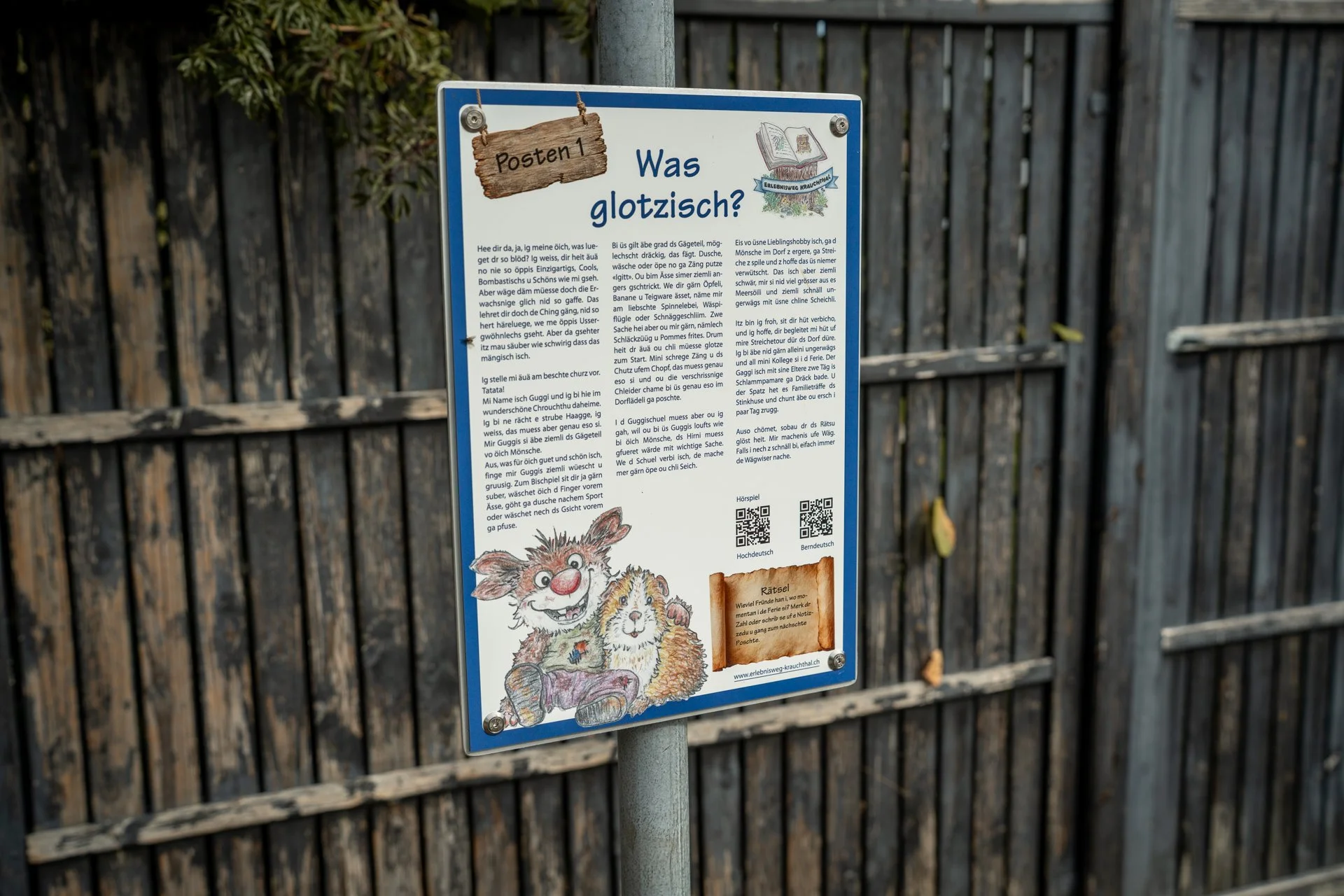 DSC02147.jpg