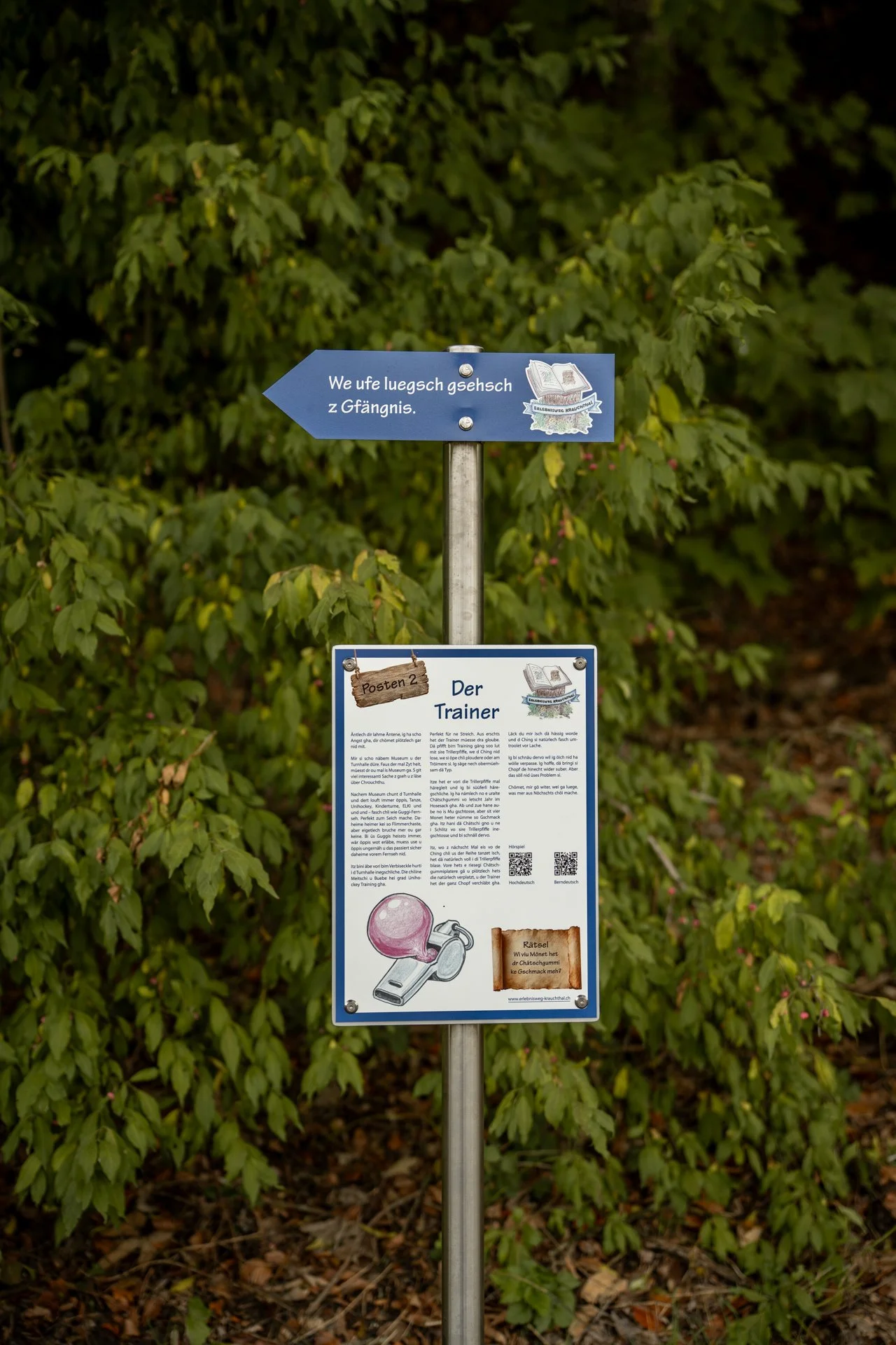 DSC02161.jpg