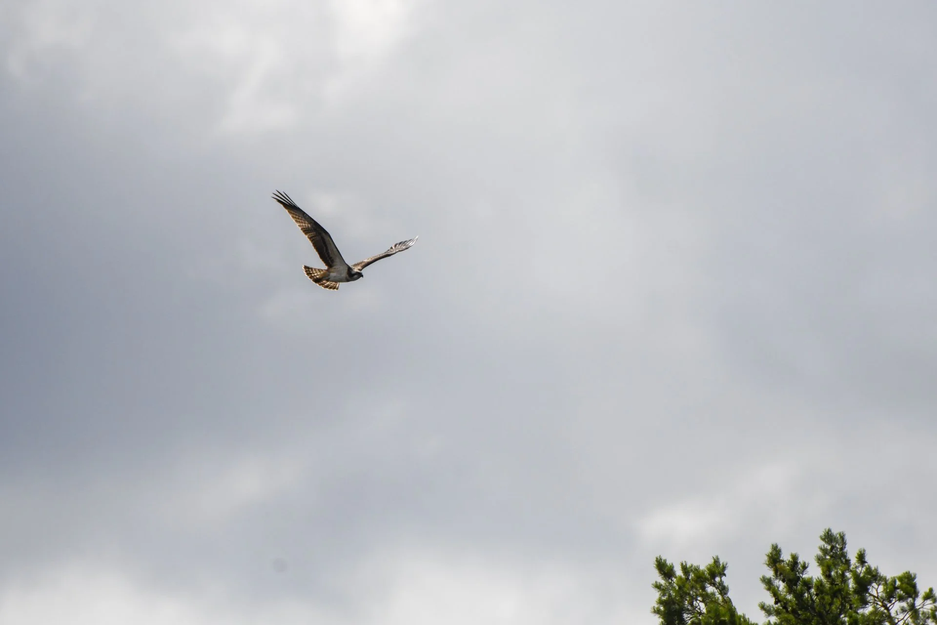 DSC_5747.jpg