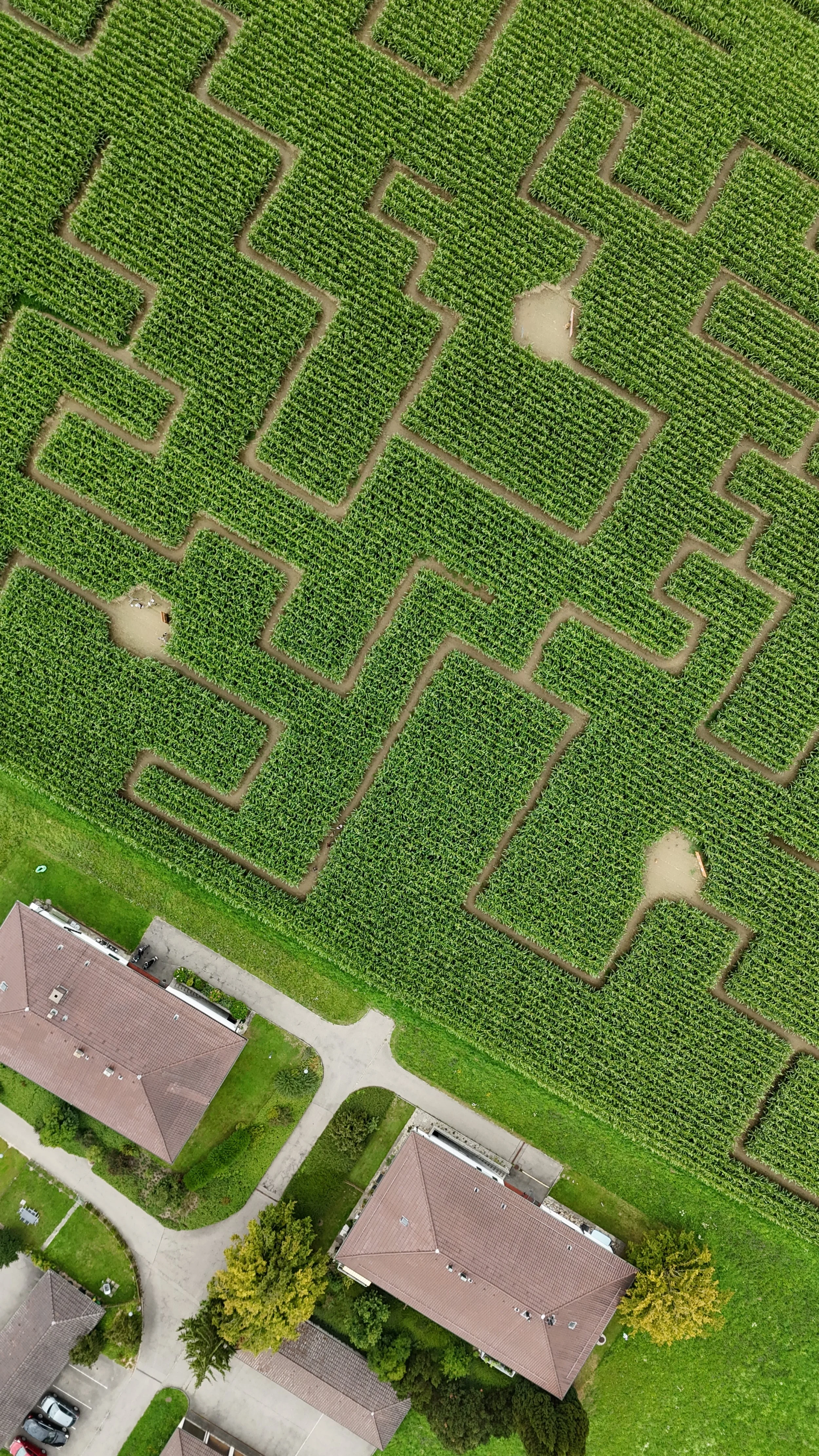 DJI_20250731141112_0349_D.JPG