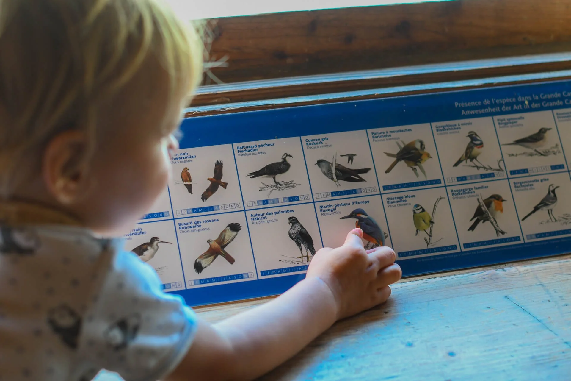Natur erleben mit Kindern: Ausflugstipps in Naturschutzzentren und Naturschutzgebiete
