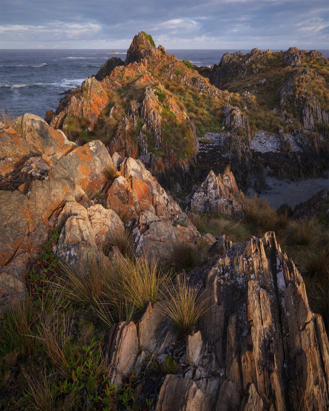 WORKSHOP ANNOUNCEMENT:
Tarkine Photo Adventure 2023 w/ Paul Hoelen
Dates: November 17th-21st 2023

I'm super excited to officially launch the Tarkine Photo Adventure 2023, which I'll be running alongside @paulhoelen! With world-class temperate rainfo